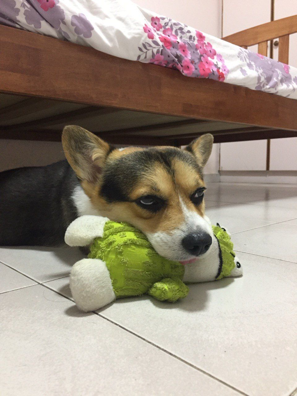 image-20