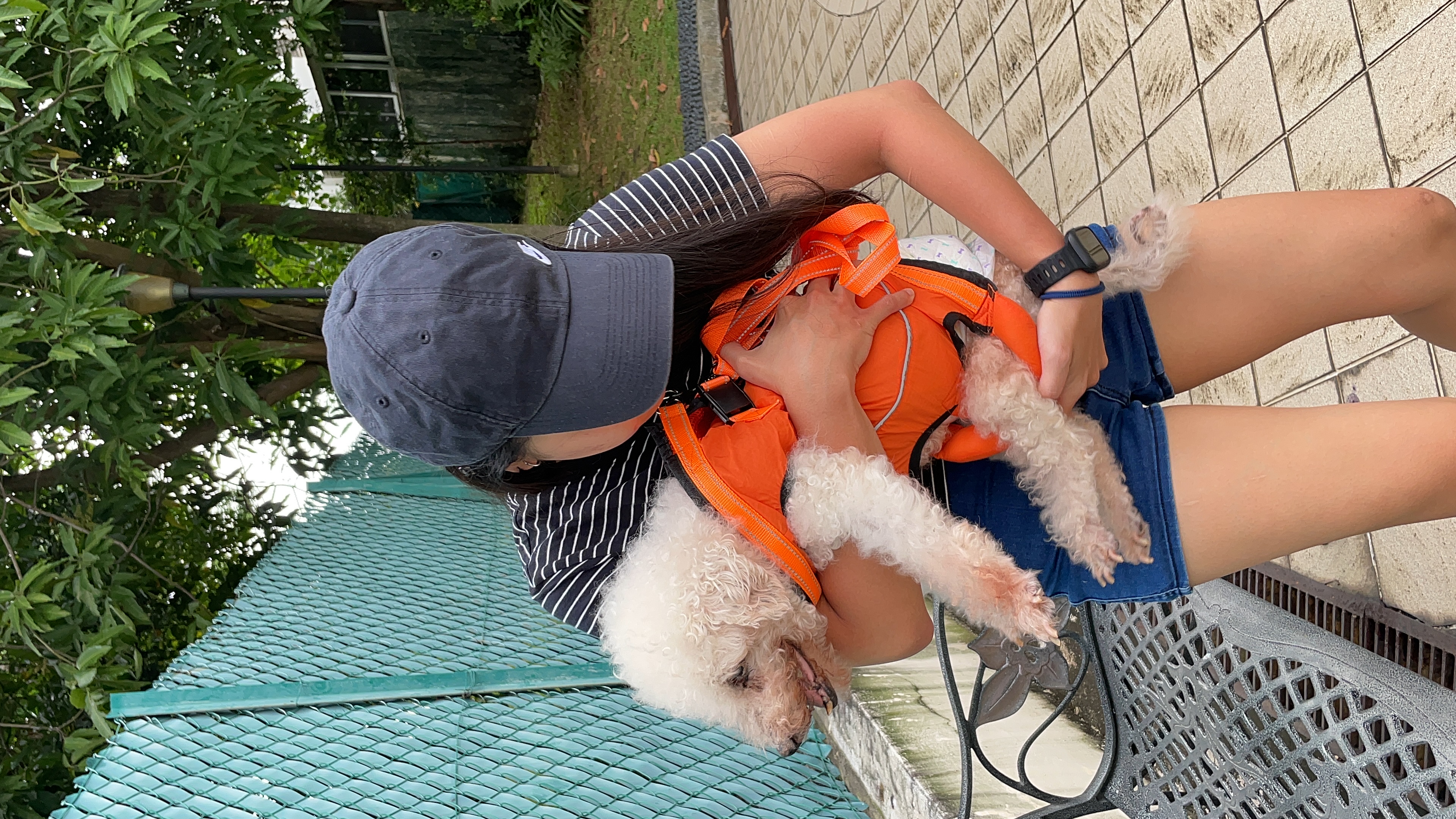image-7