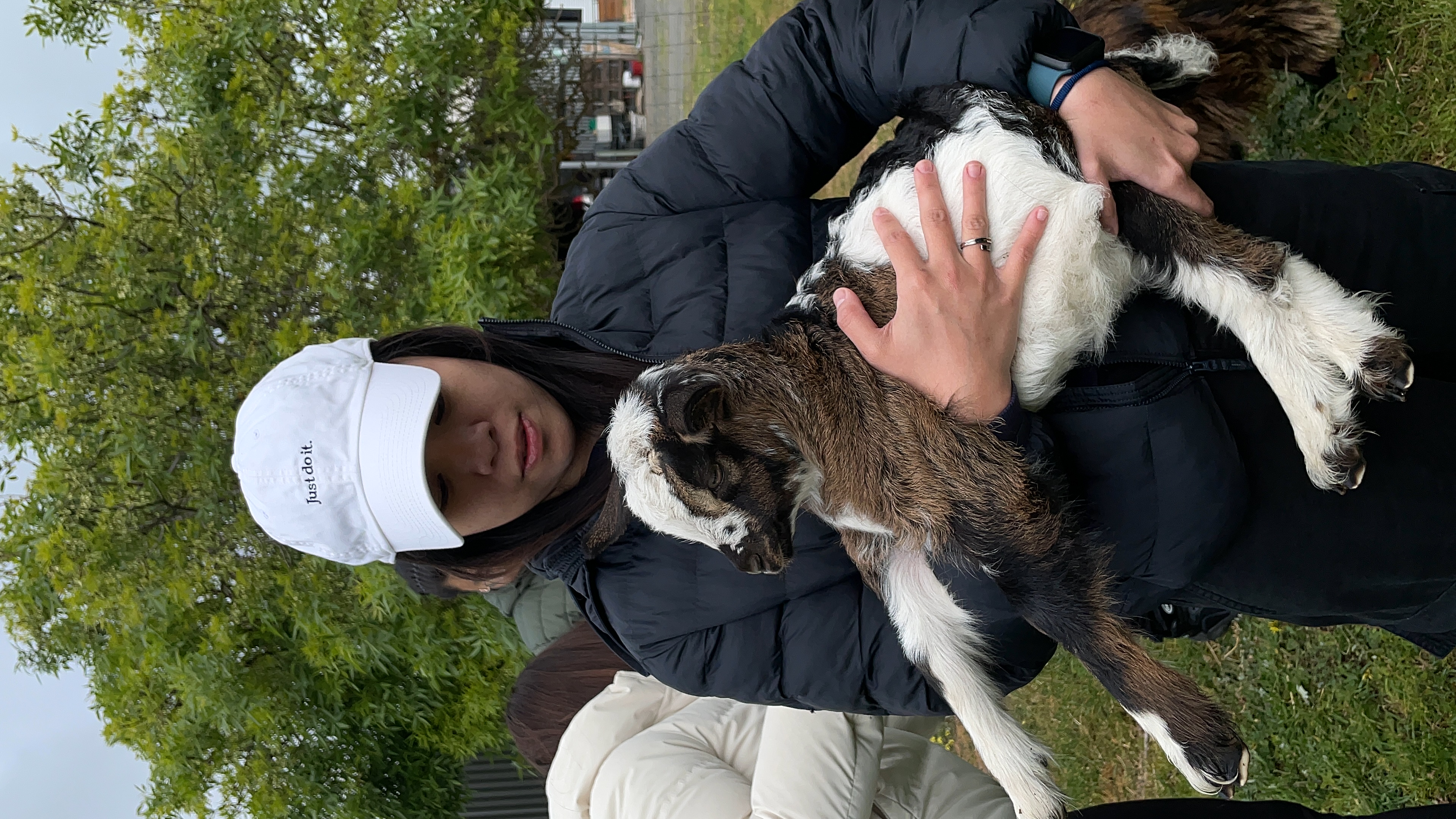image-13