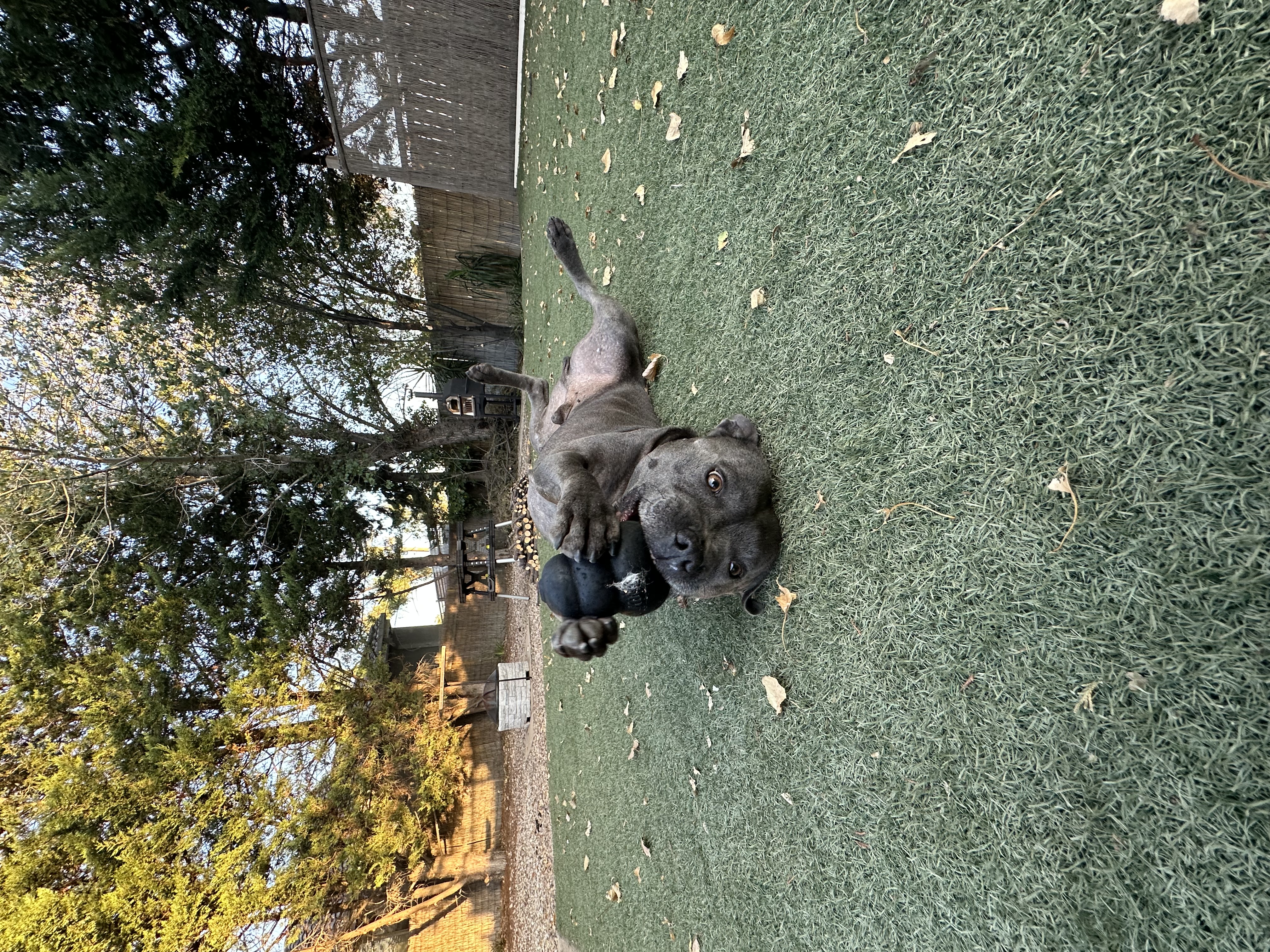 image-8