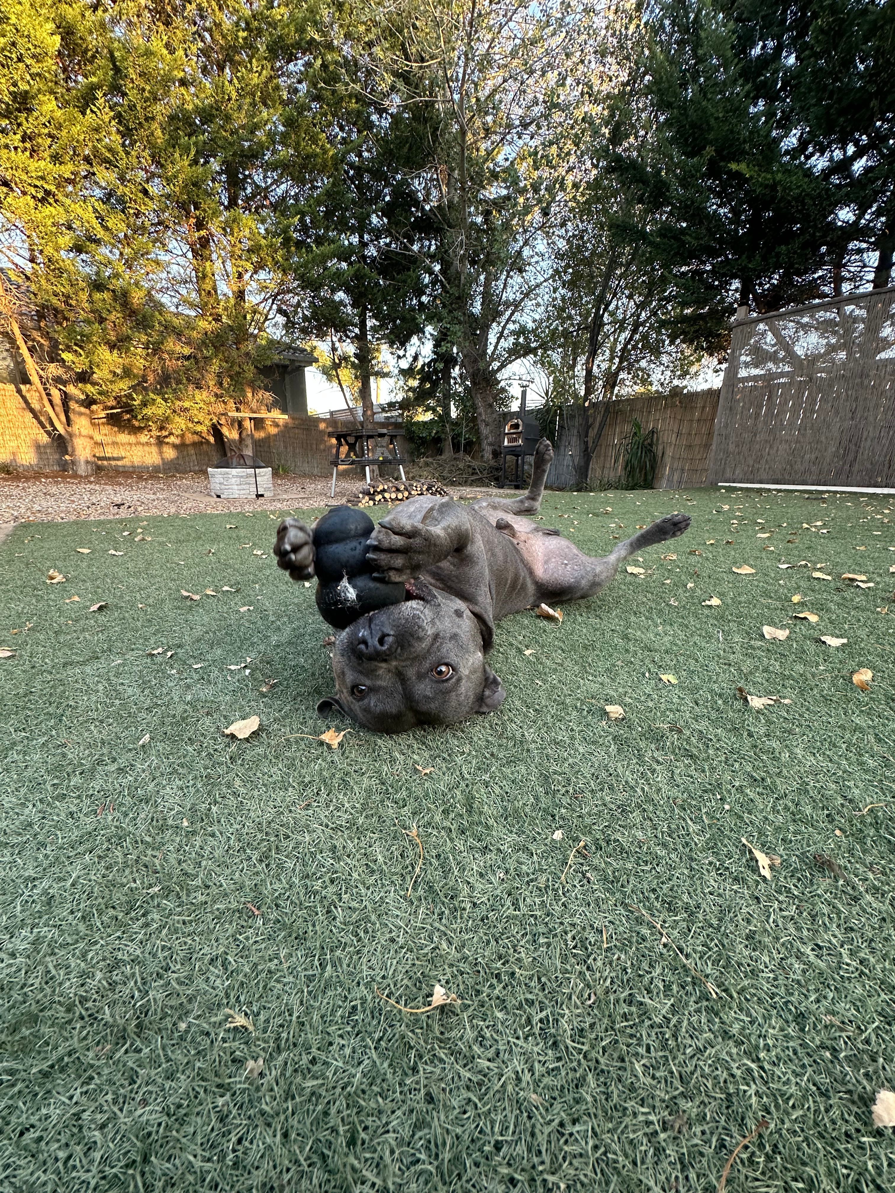 image-8