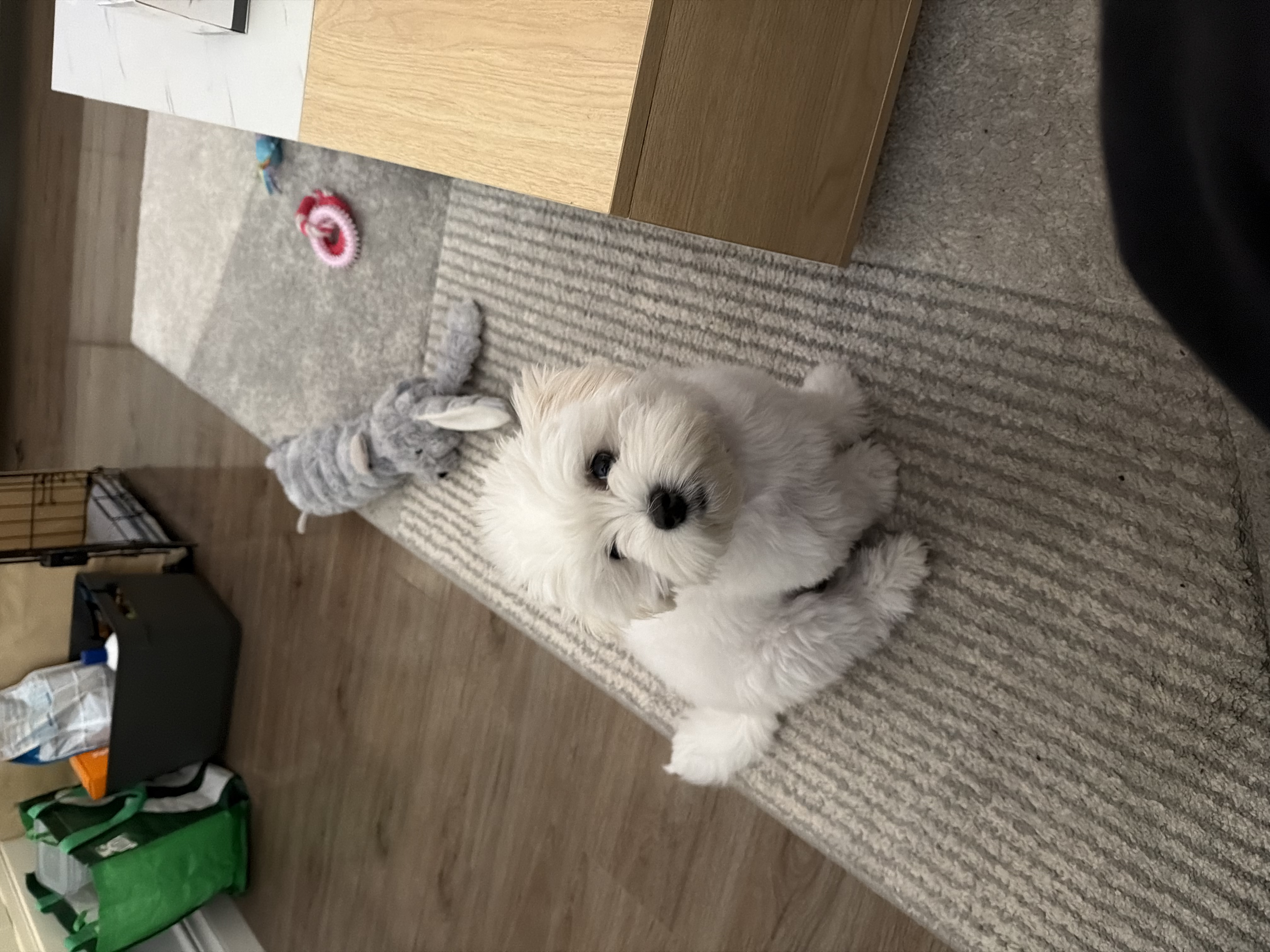 image-7