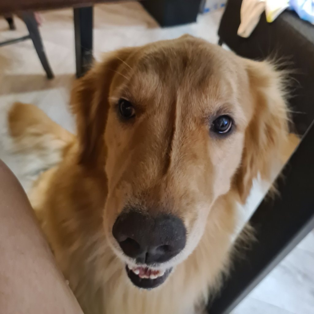 Juno