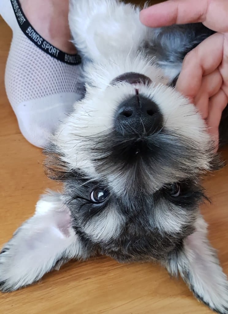 image-3