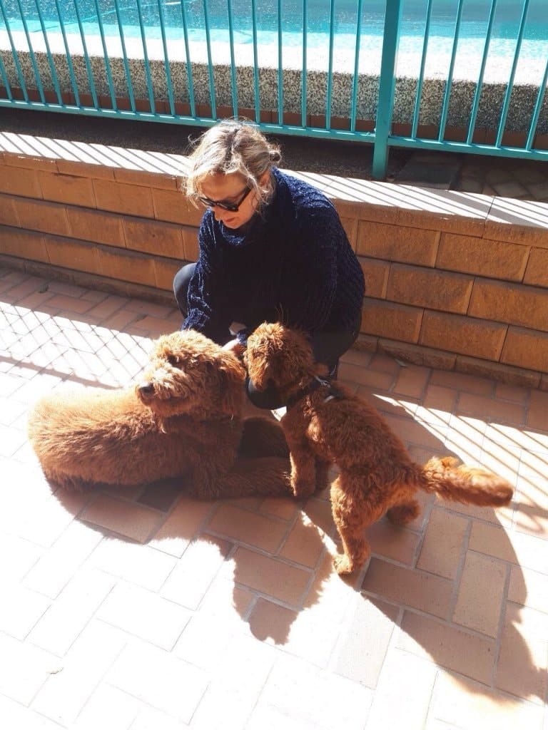 image-4