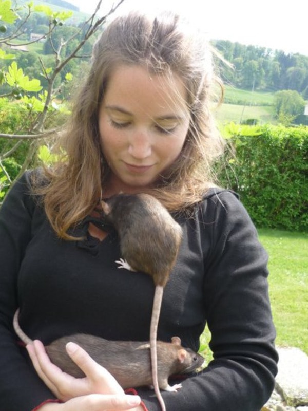 image-34