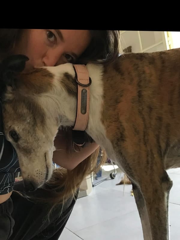 image-131