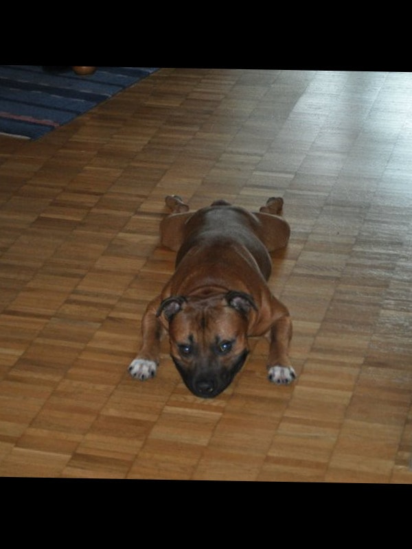 image-5
