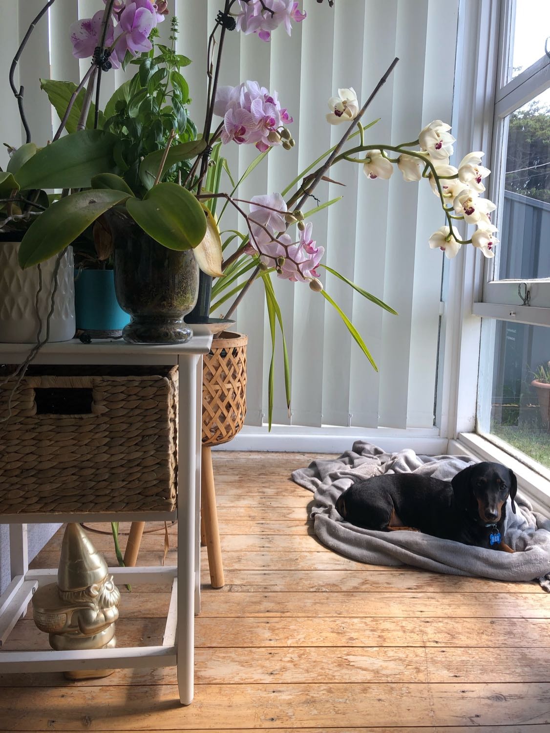 image-6