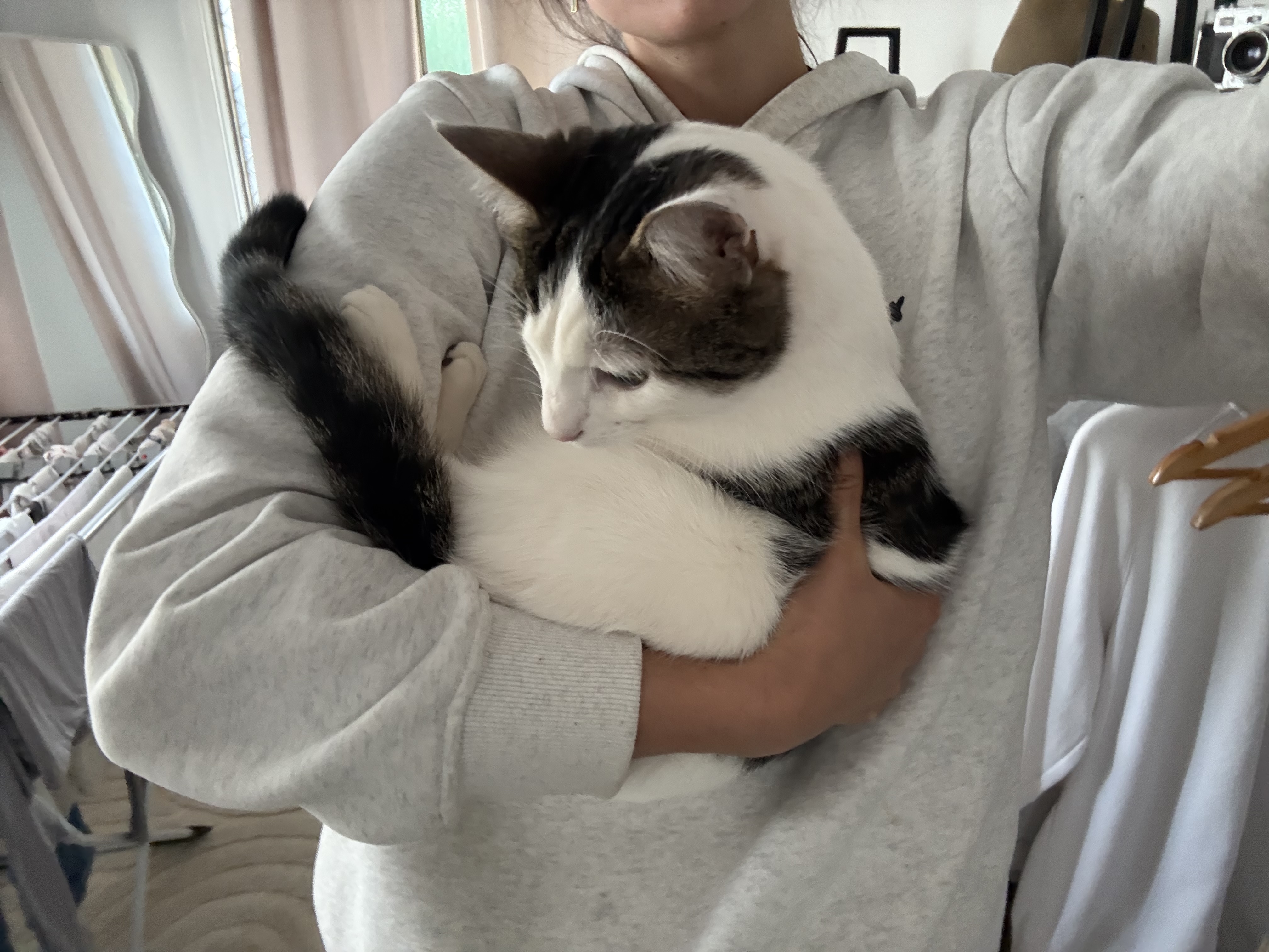 image-14