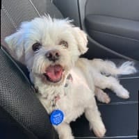 Bailey