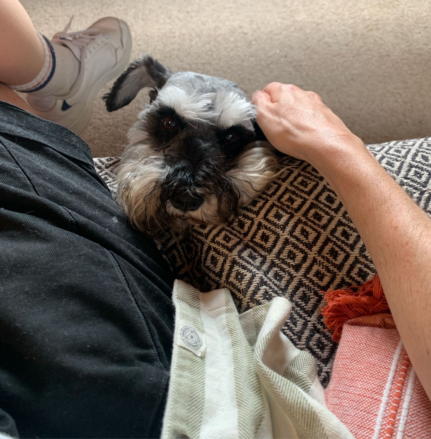 image-12