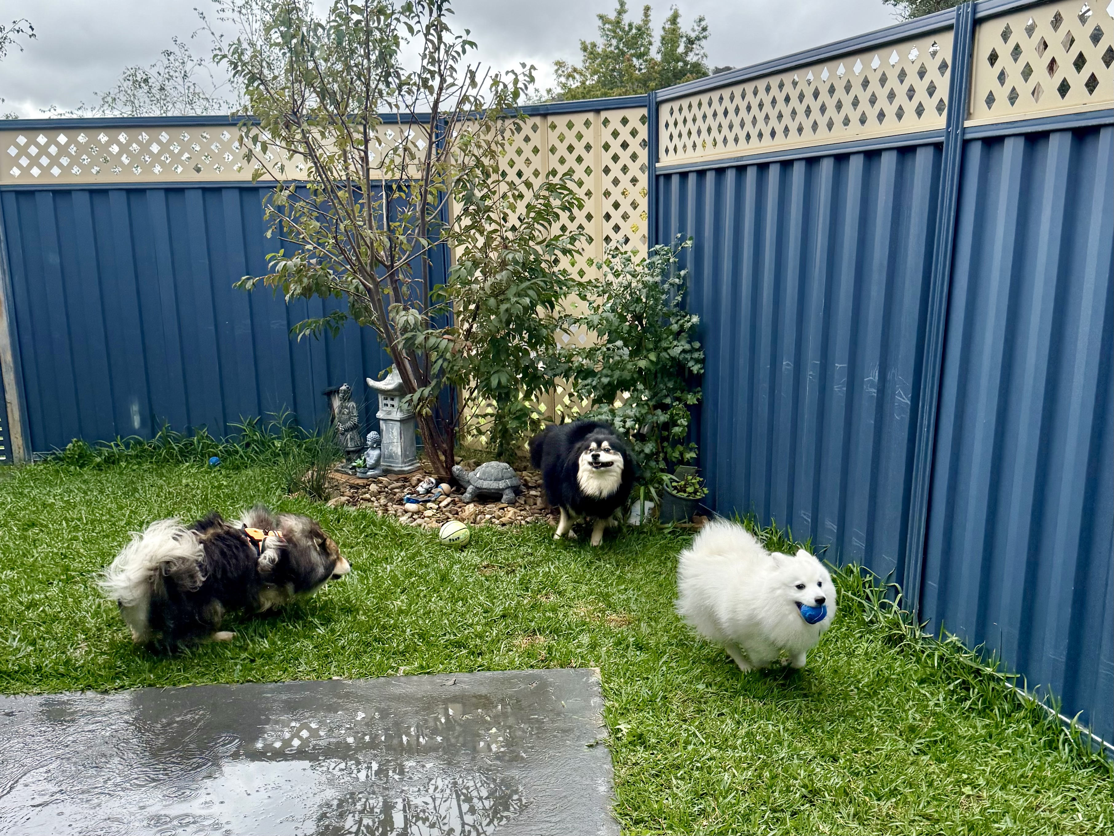 image-56