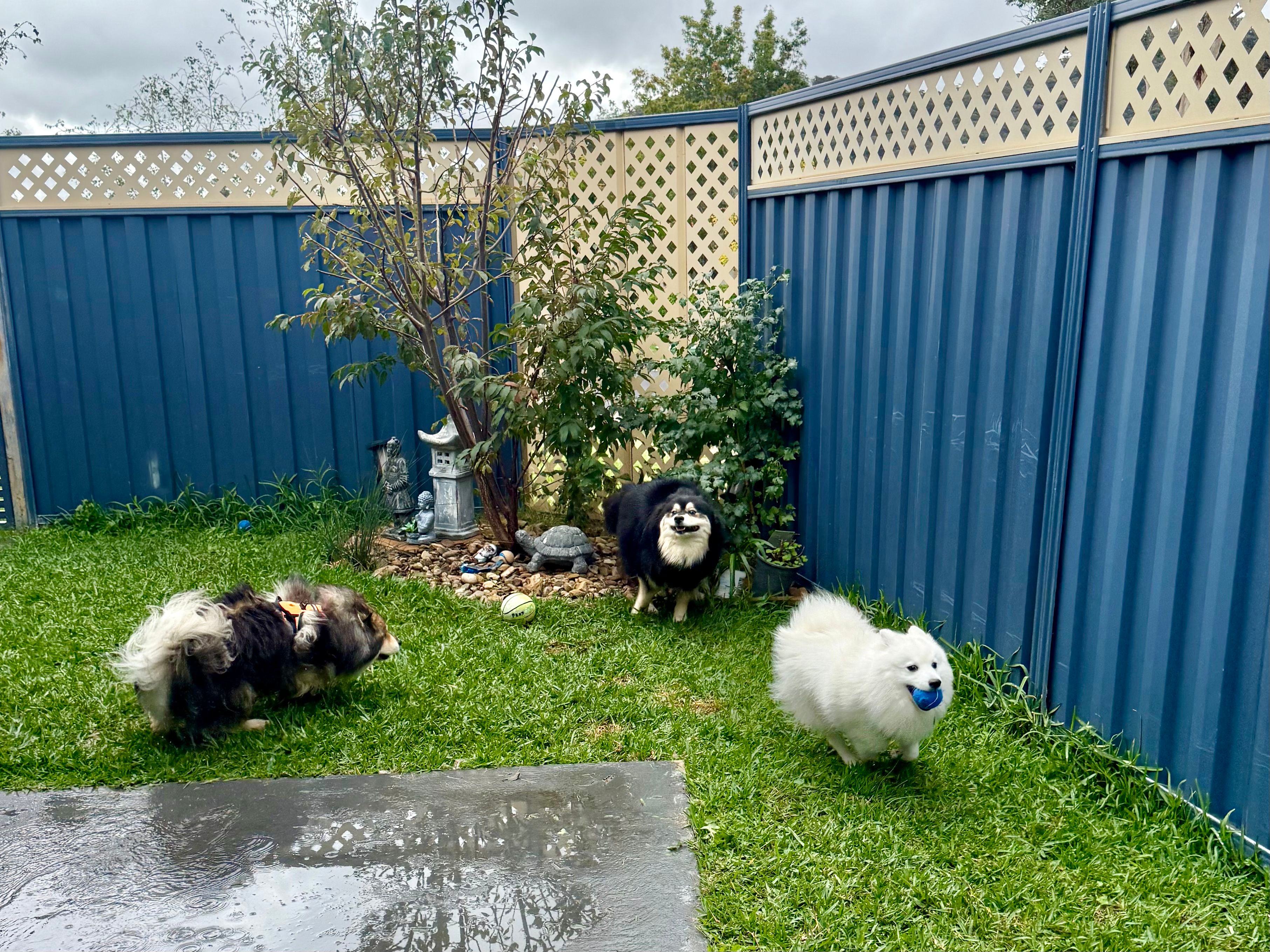 image-56