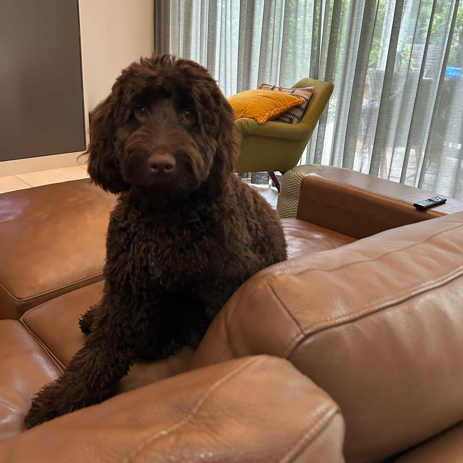 Coco