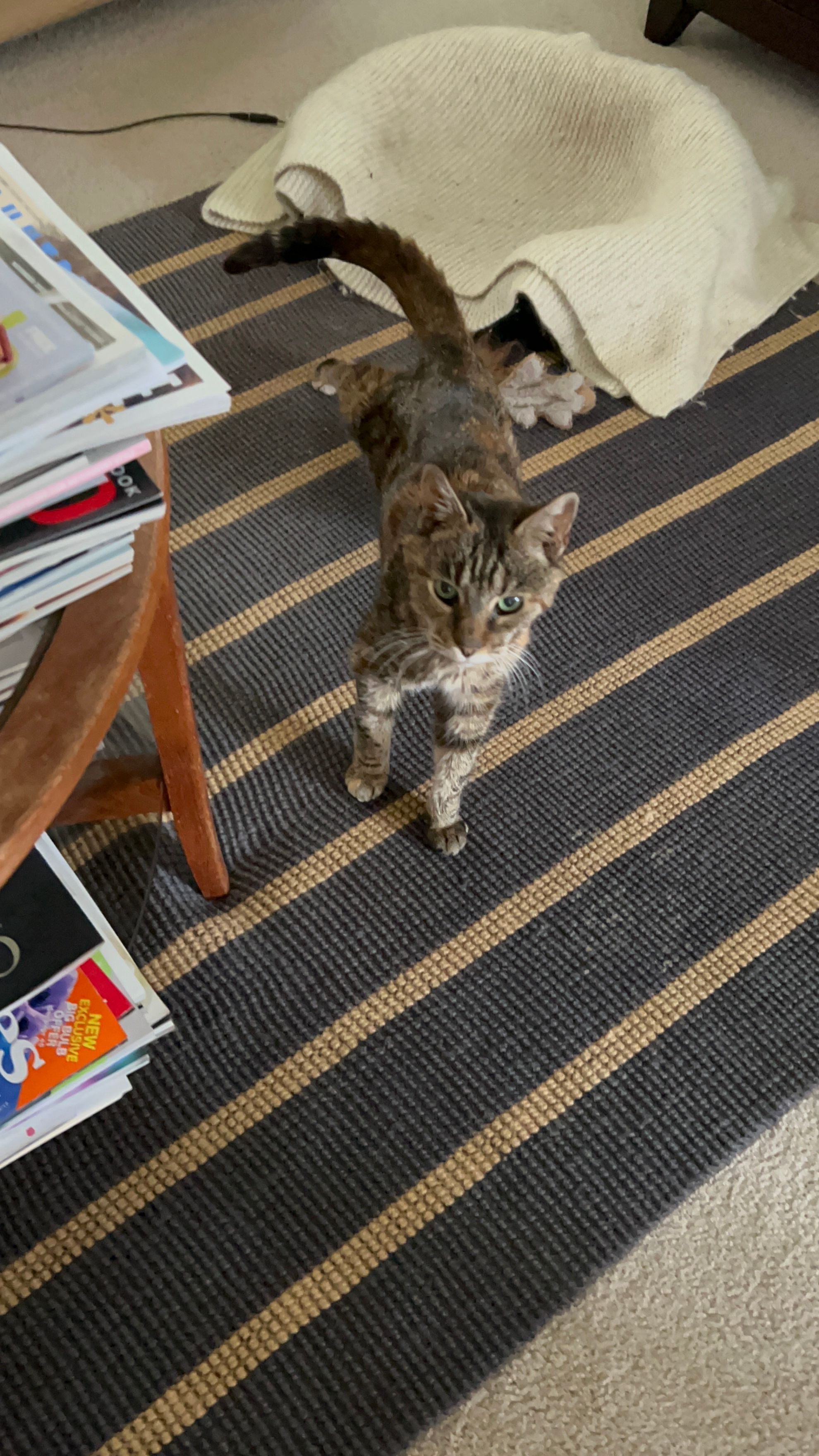 image-8