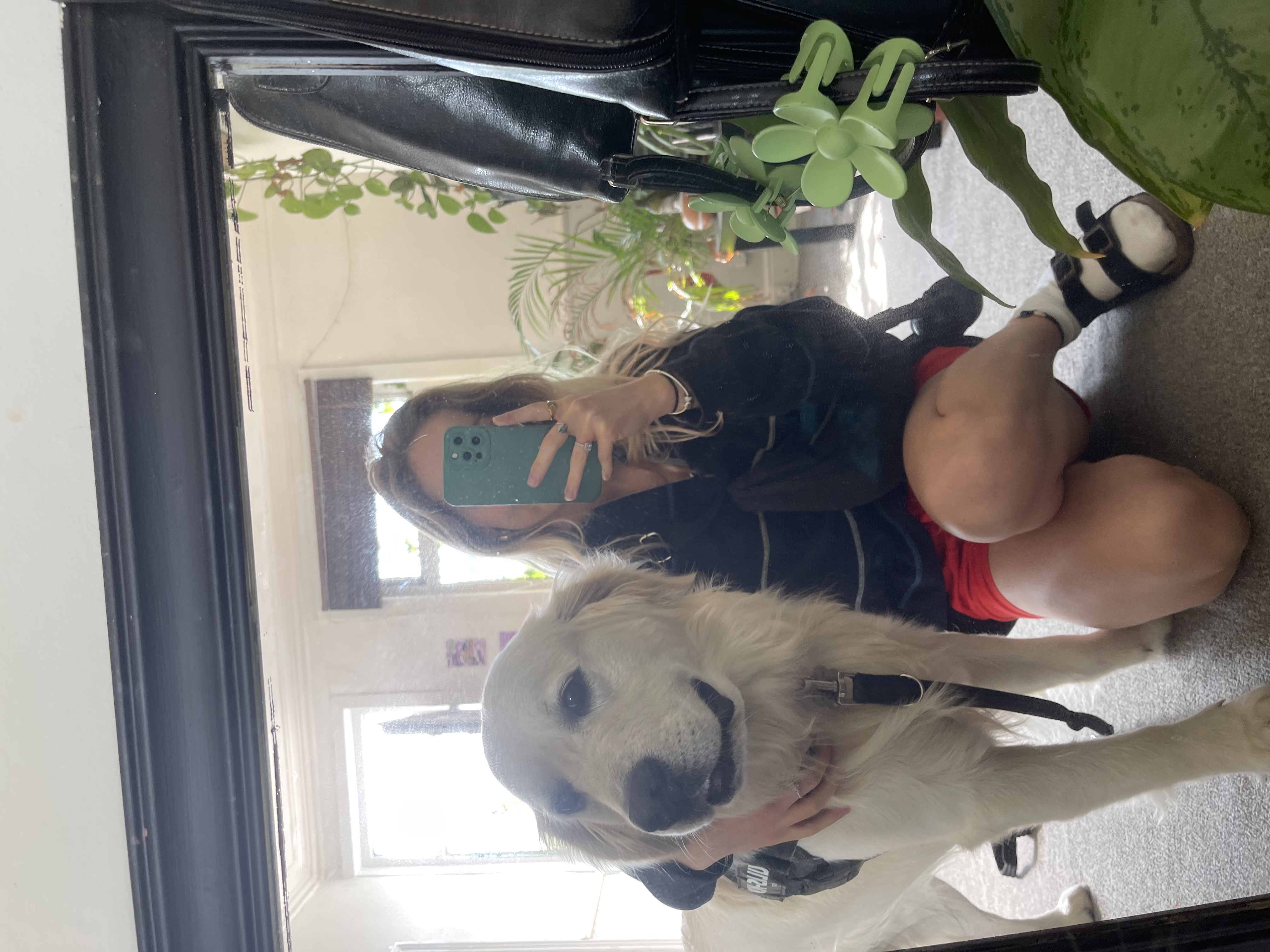 image-28
