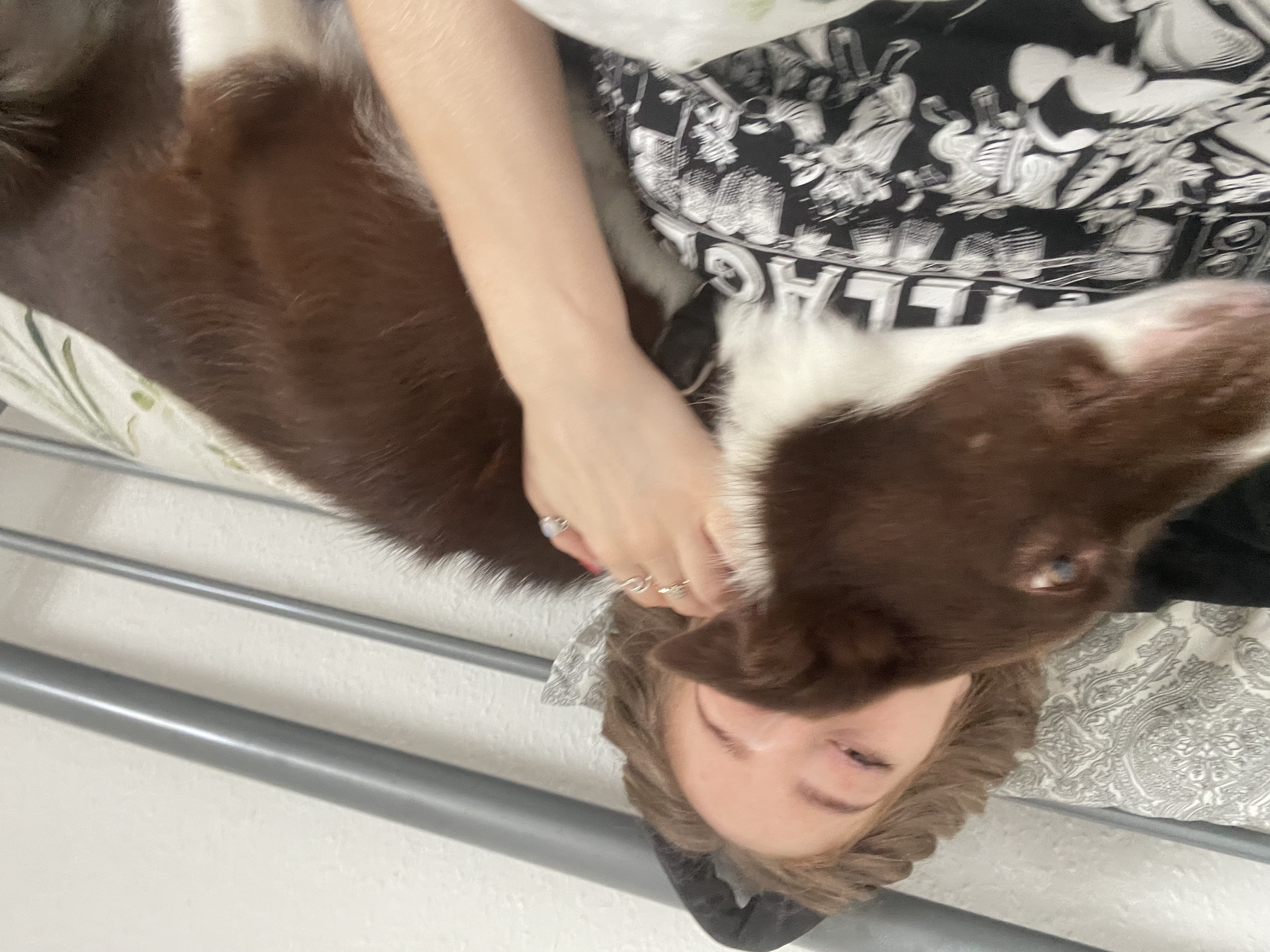 image-15