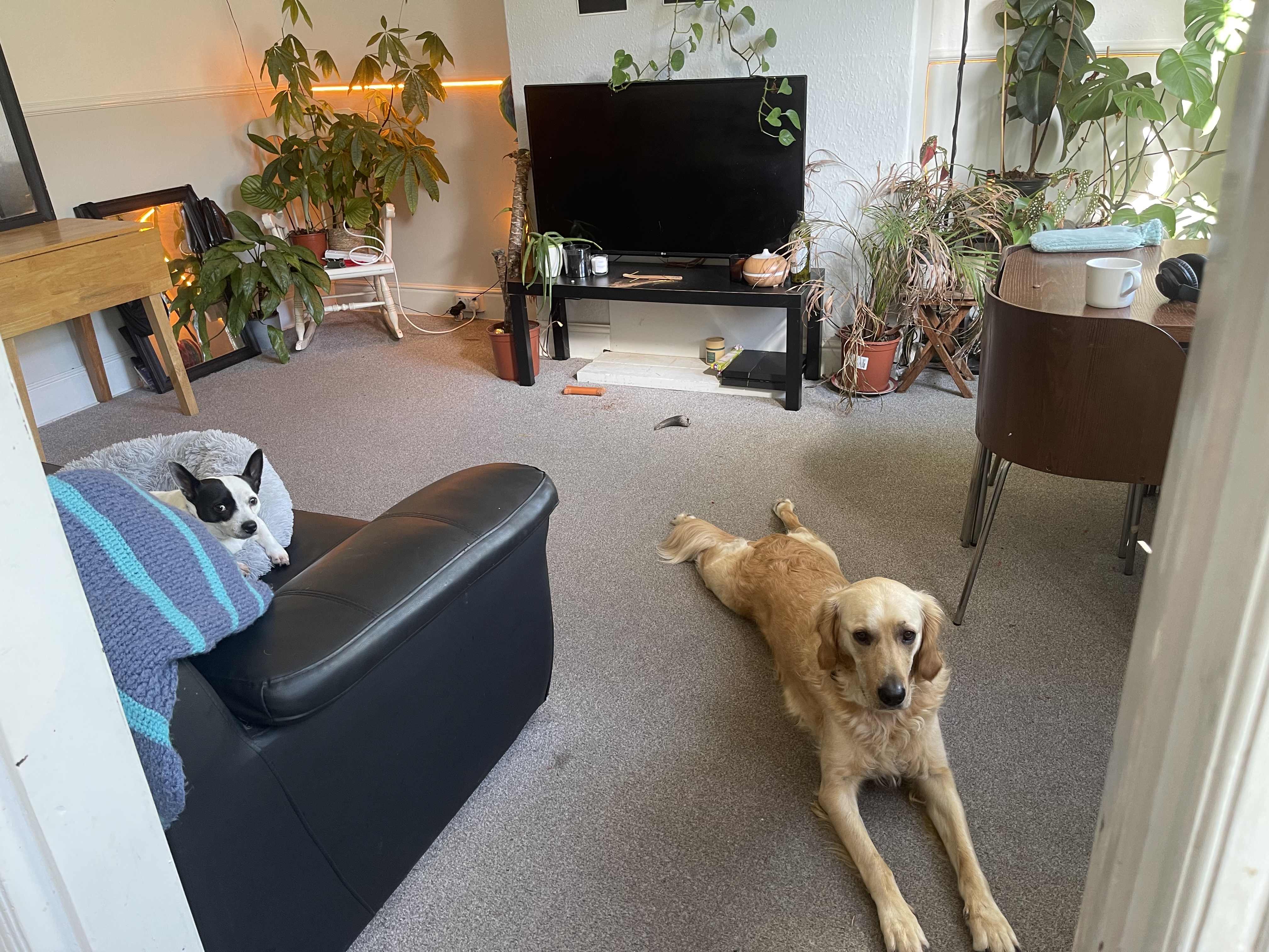 image-7