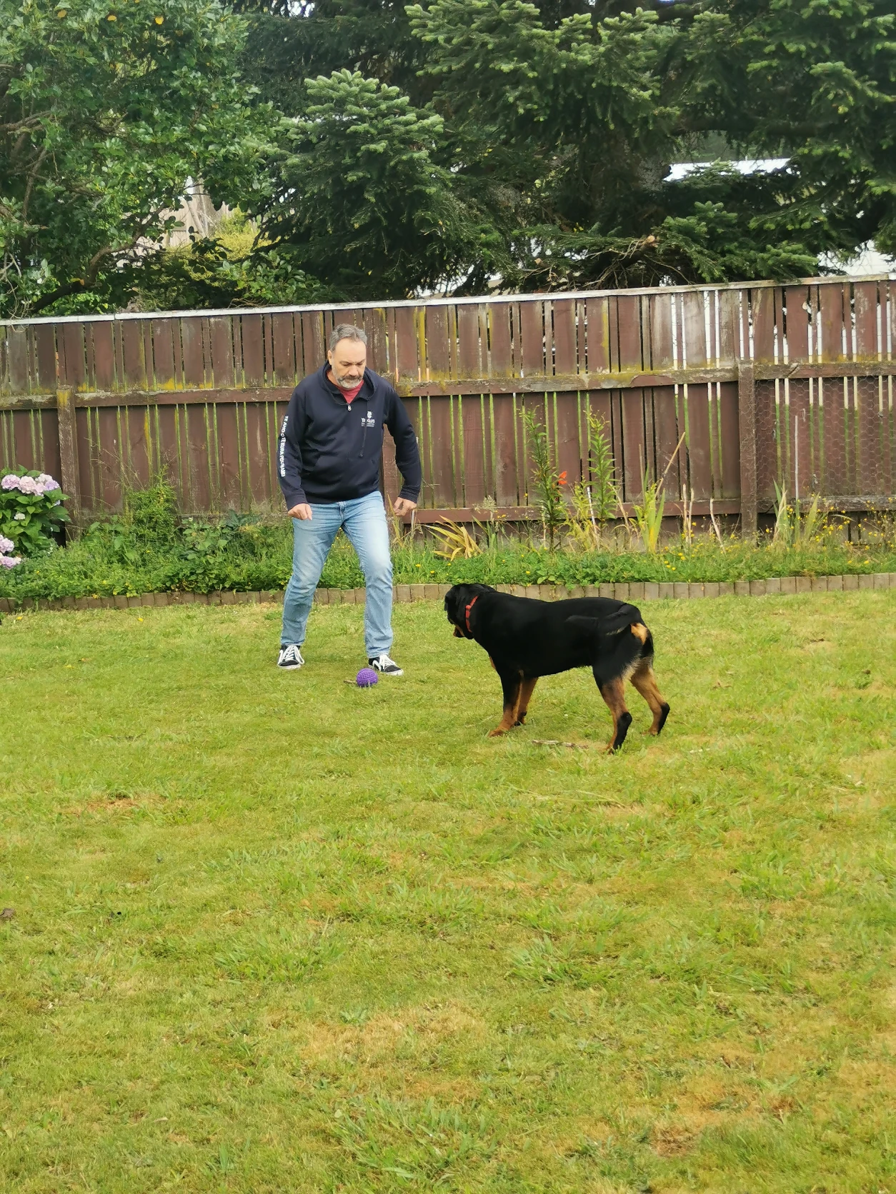 image-27