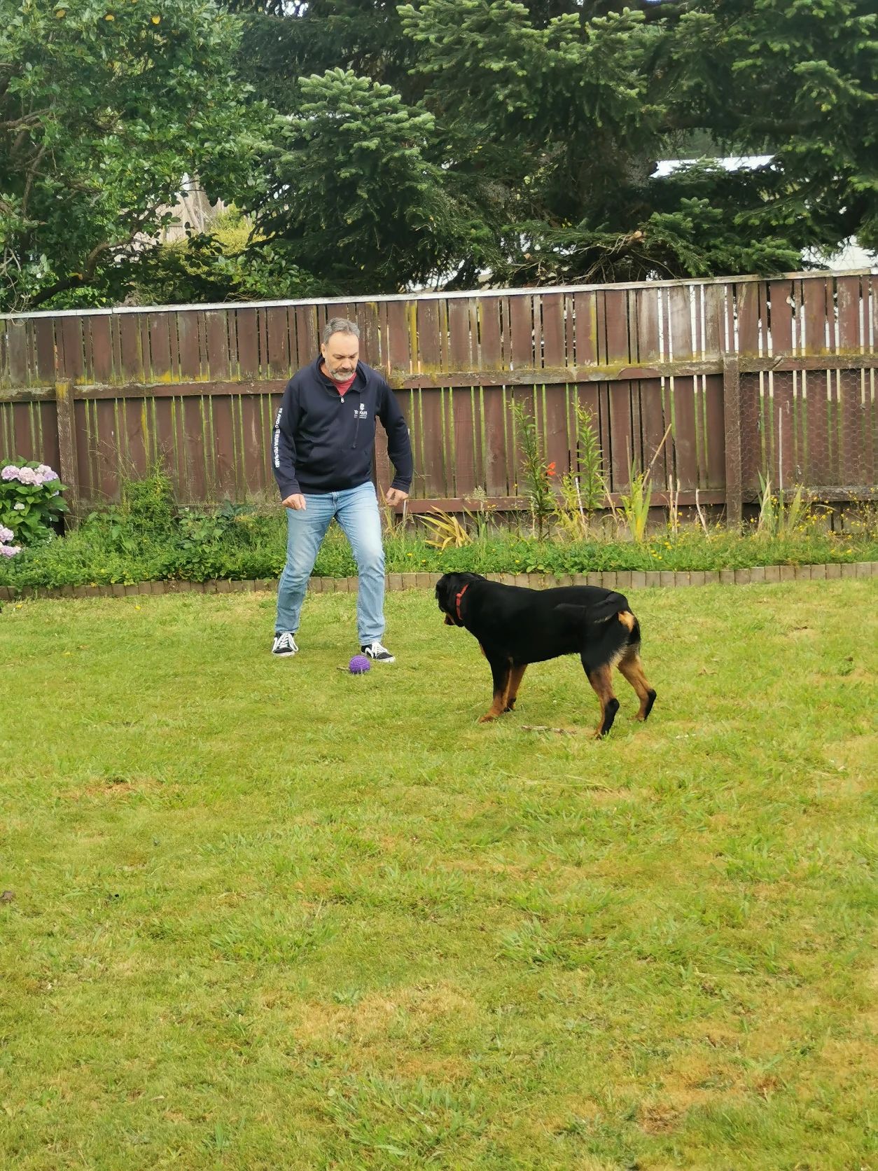 image-27