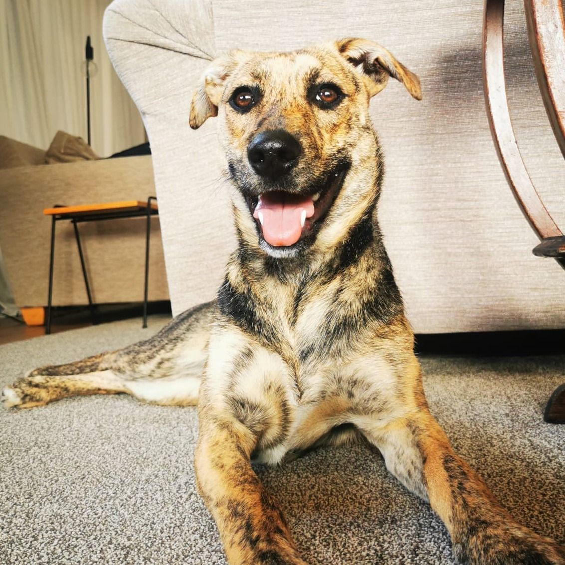 Nova
