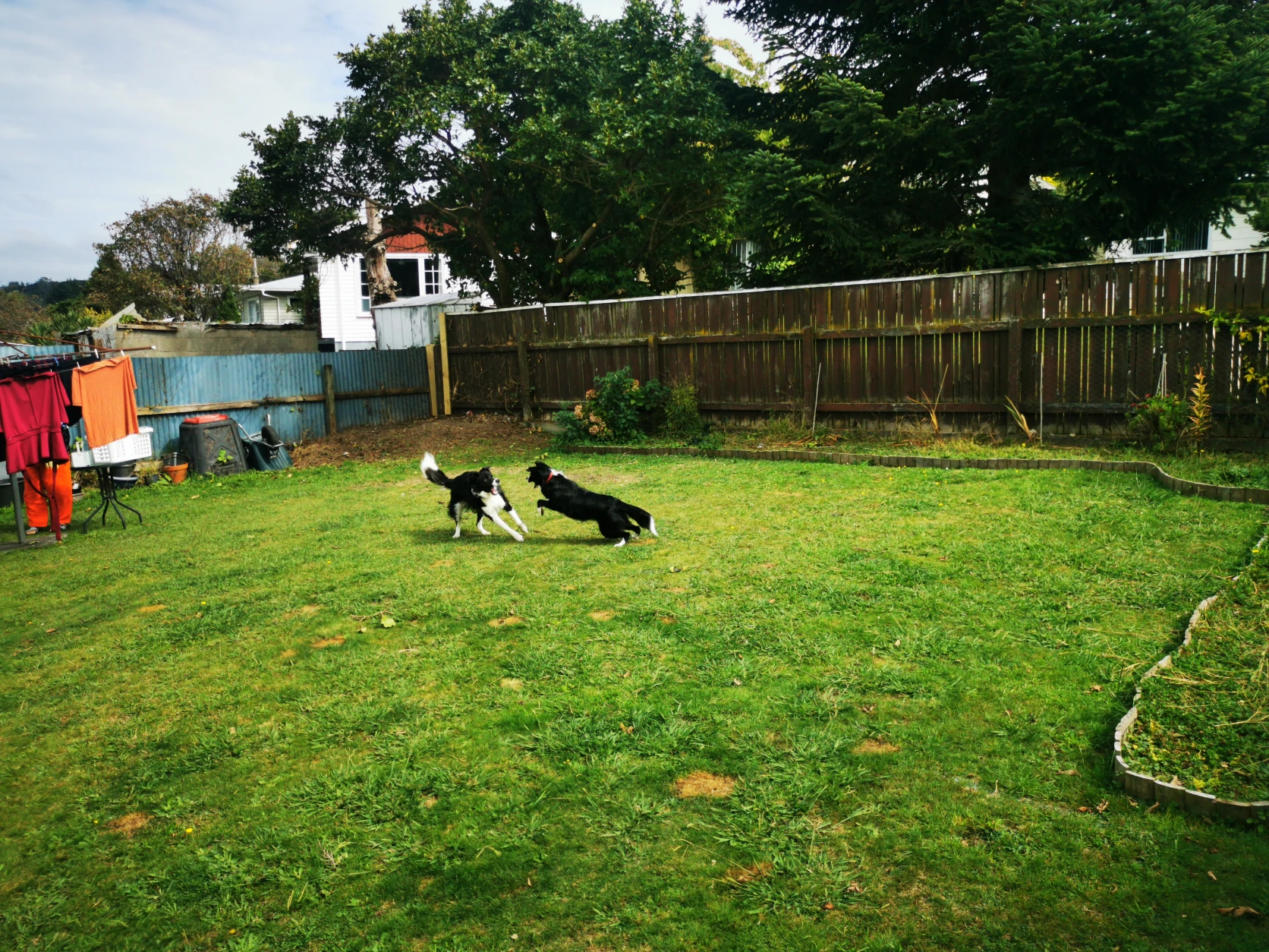 image-35