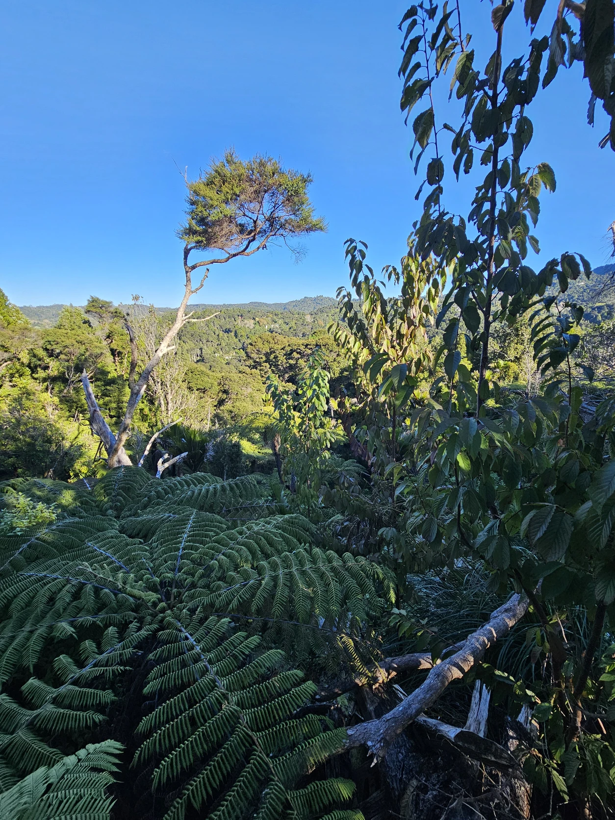 image-15