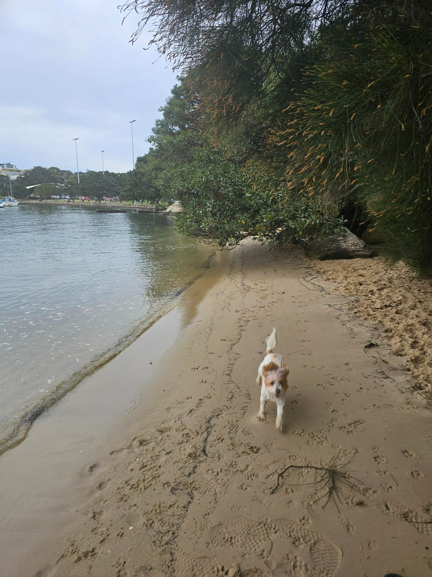image-9