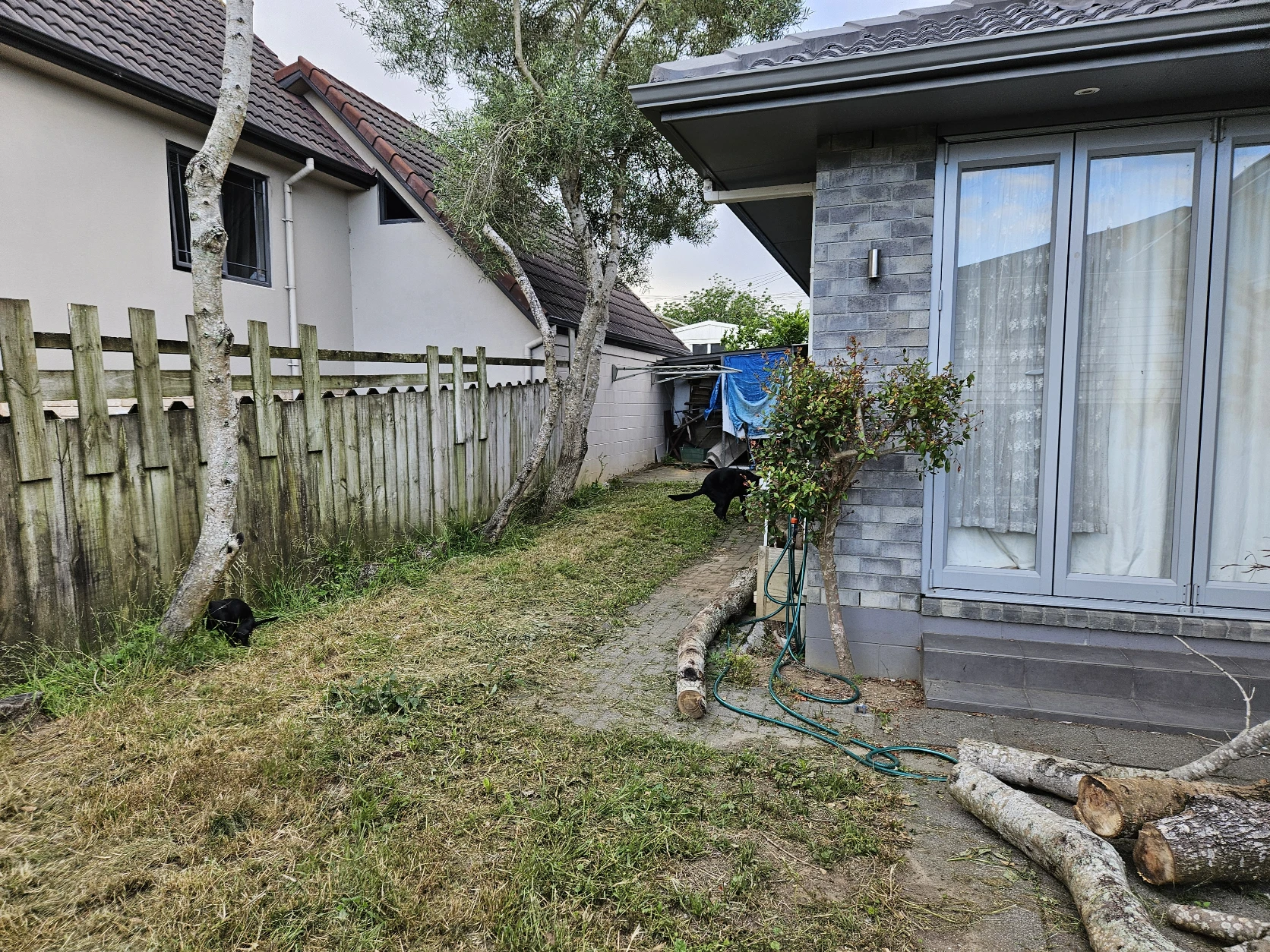 image-14