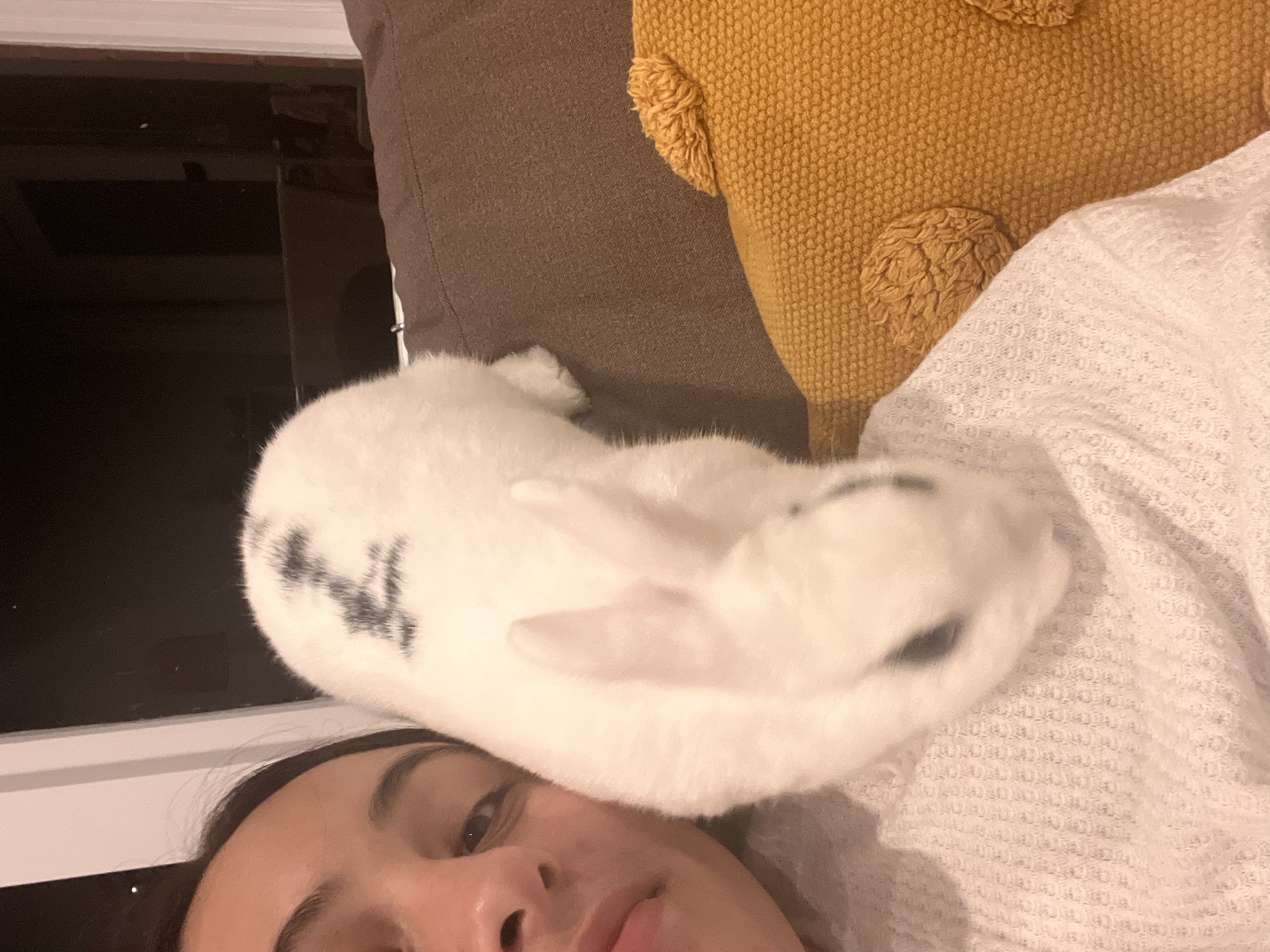 image-11