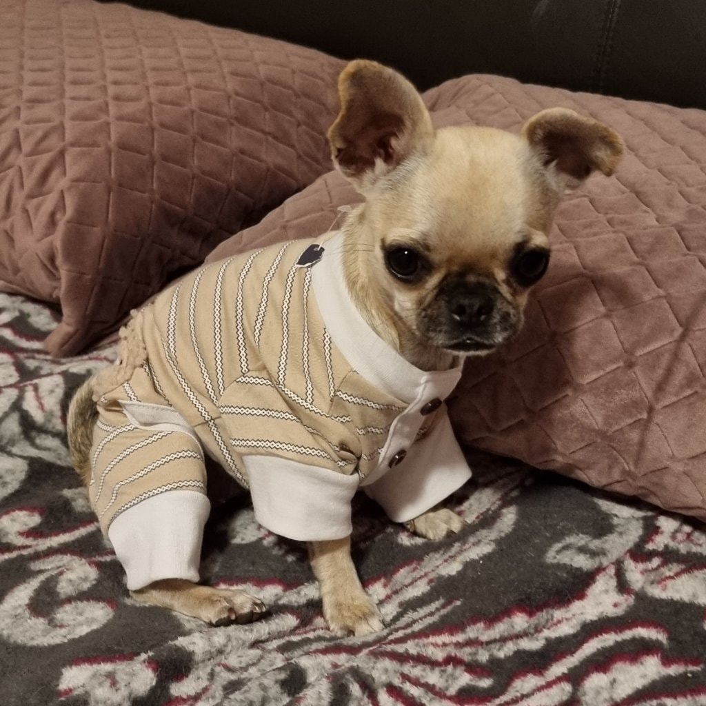 Sooki