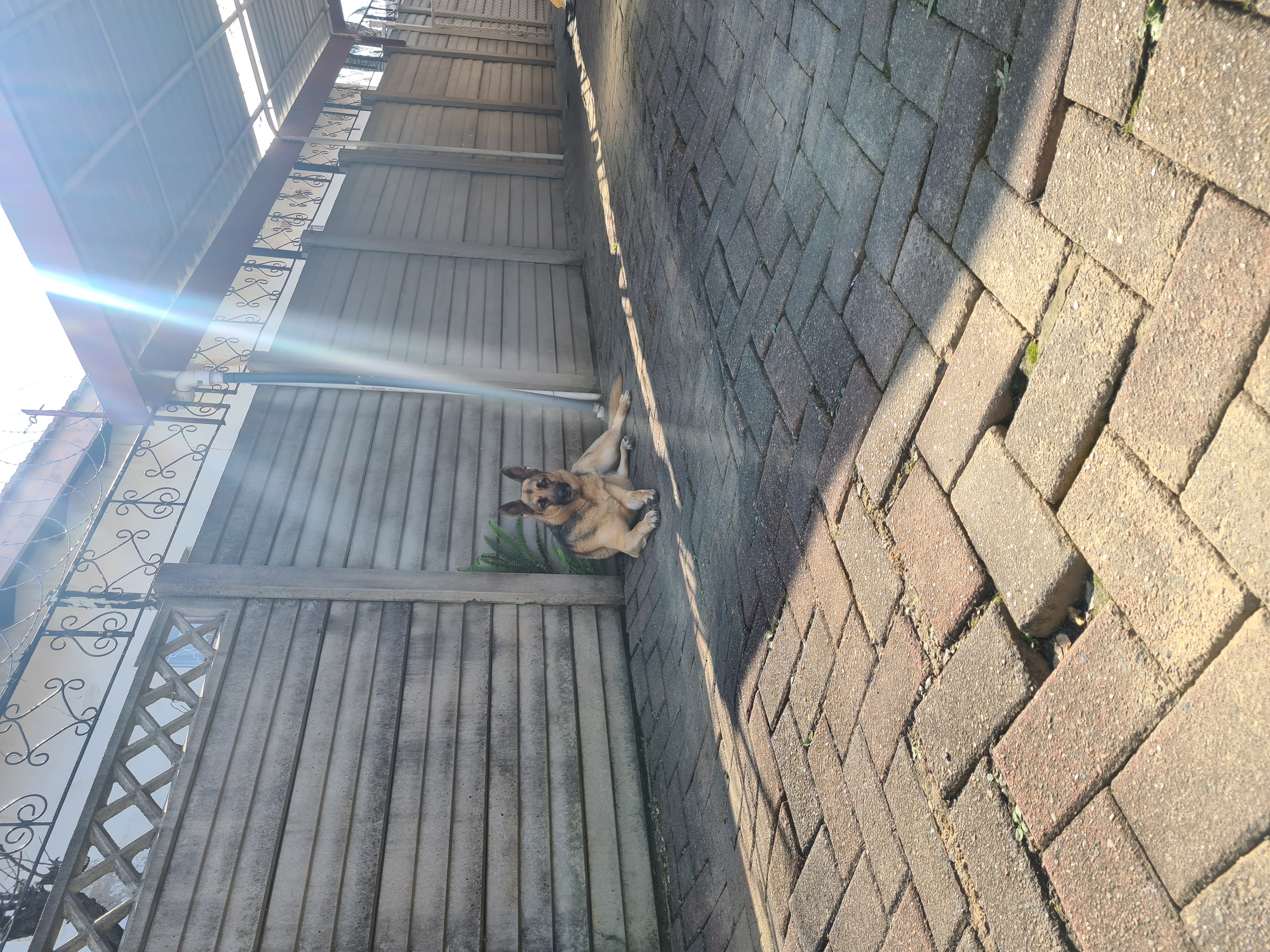 image-5