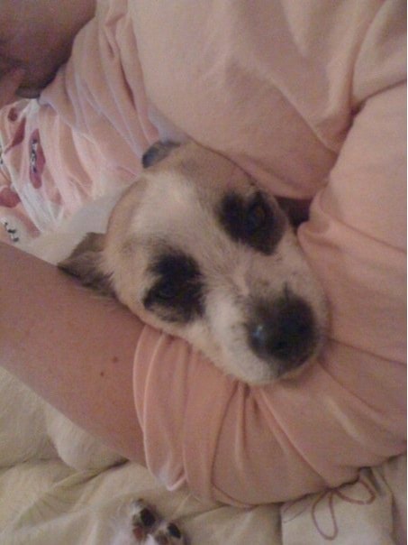 image-7