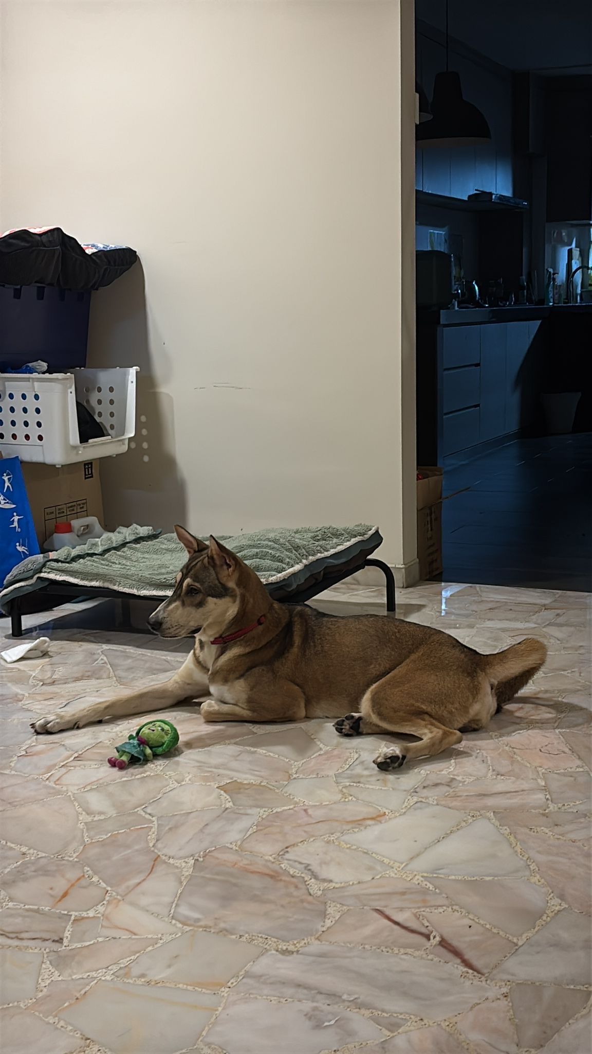 image-10