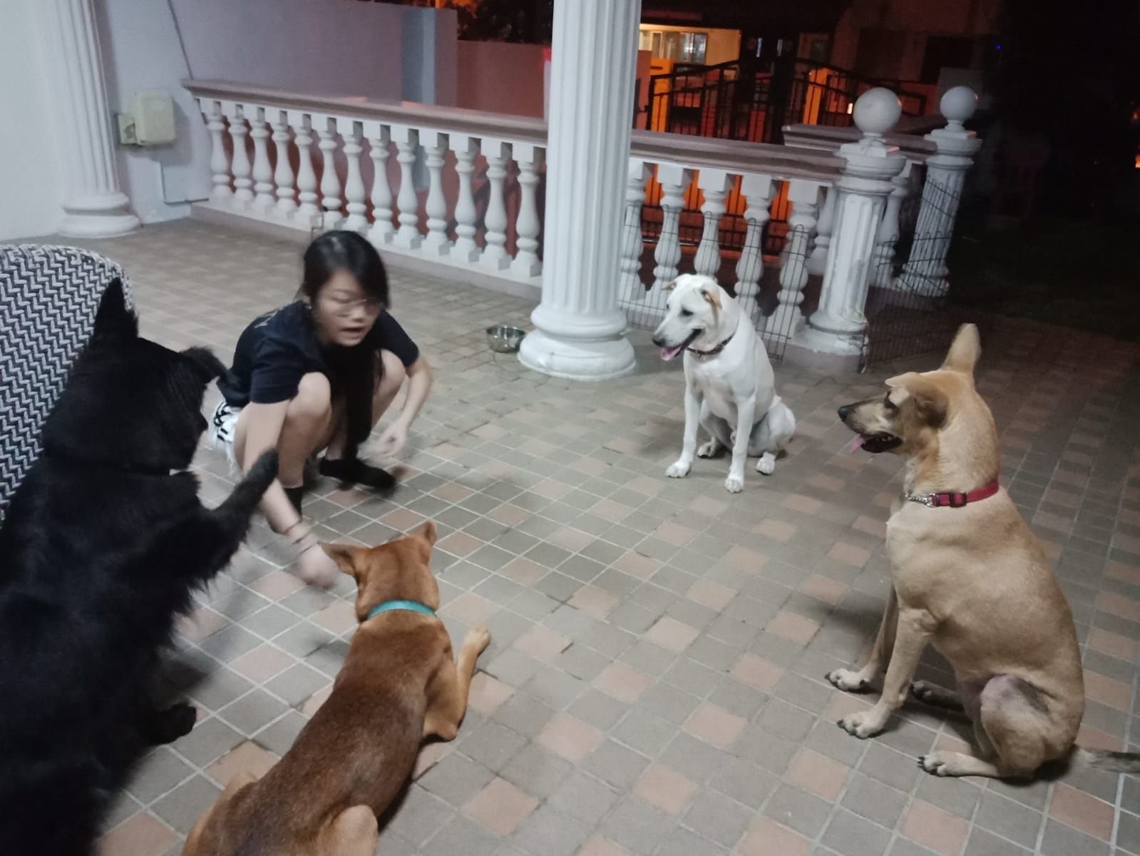 image-3