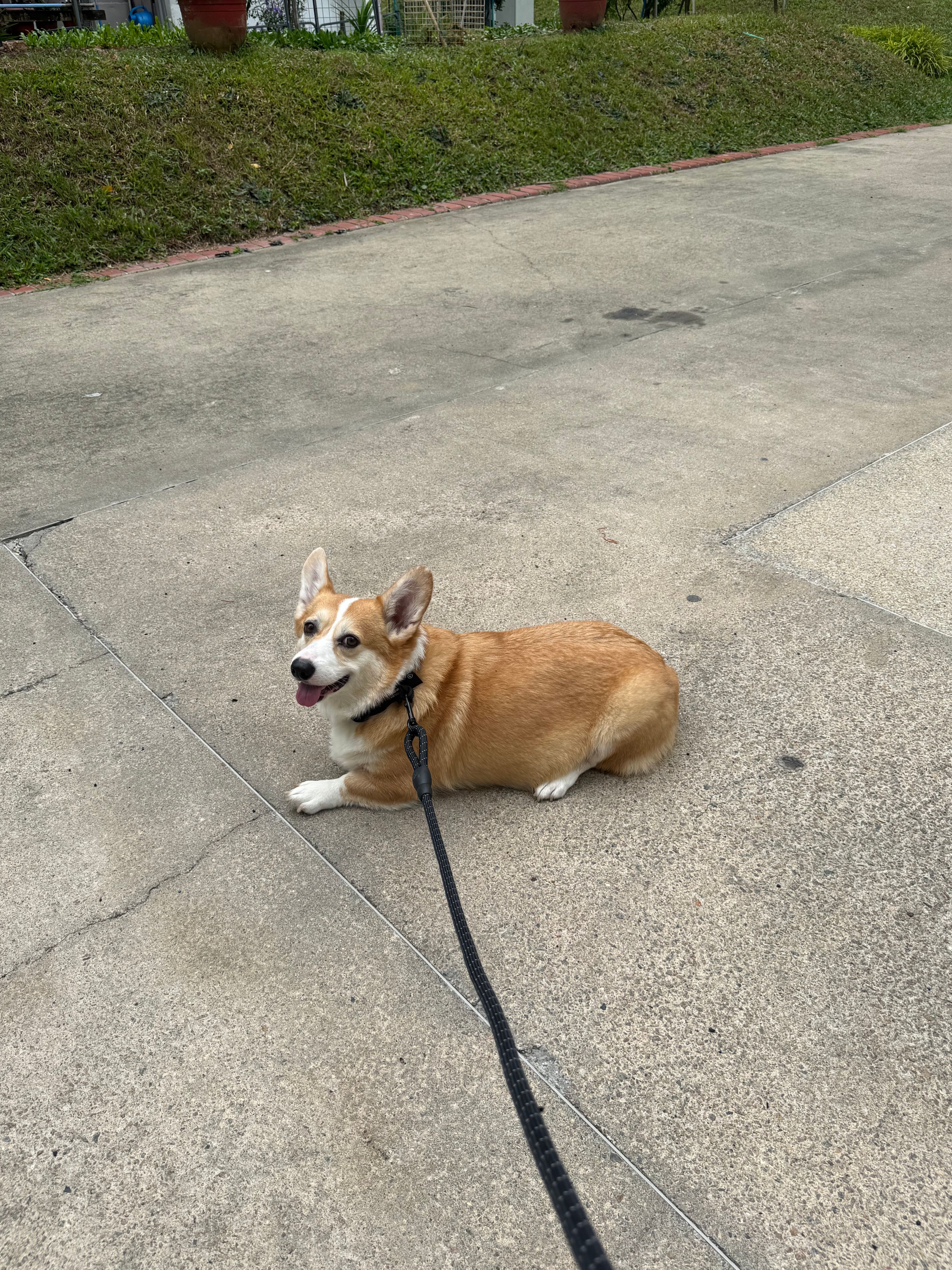 image-15