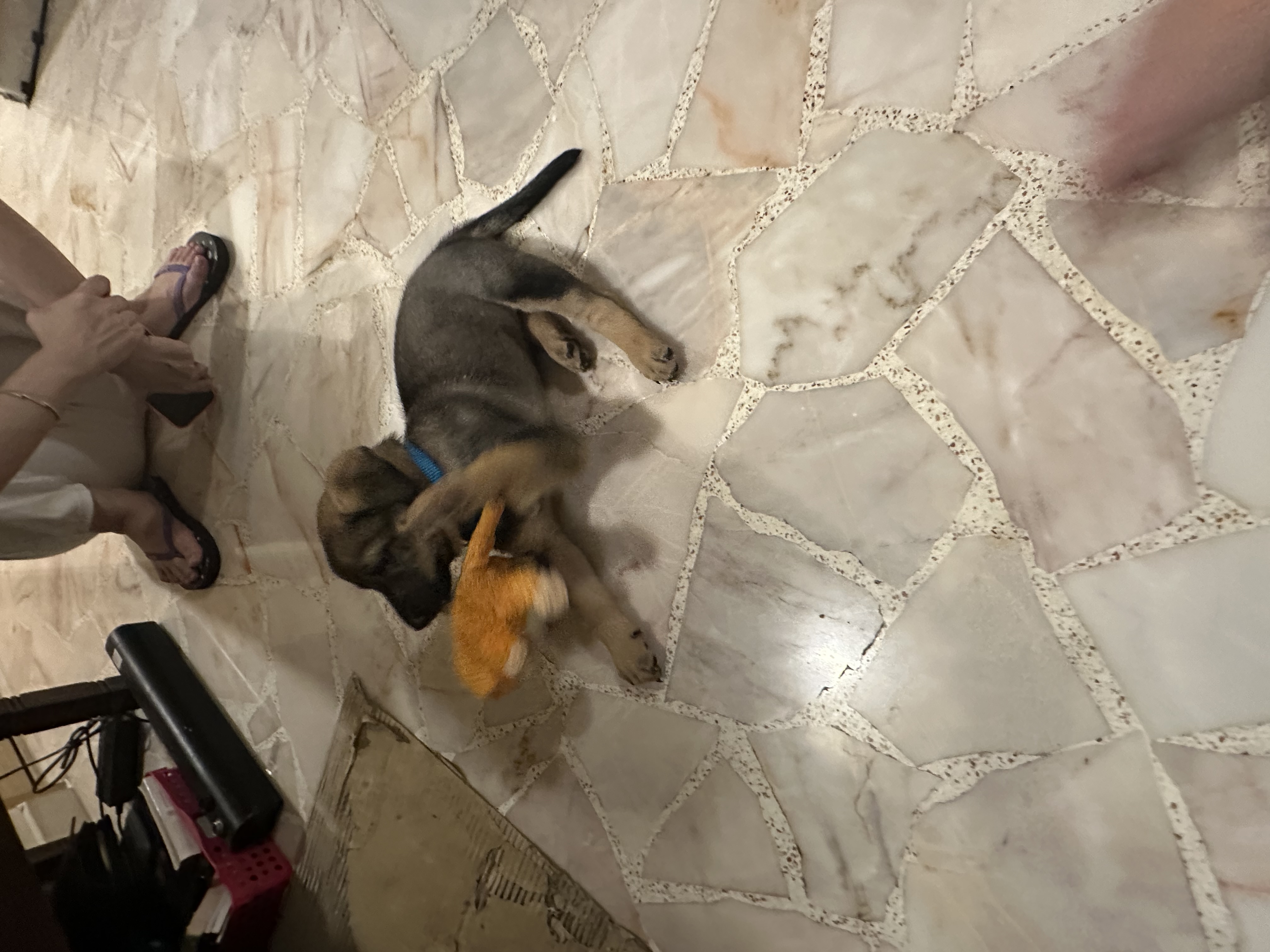 image-7