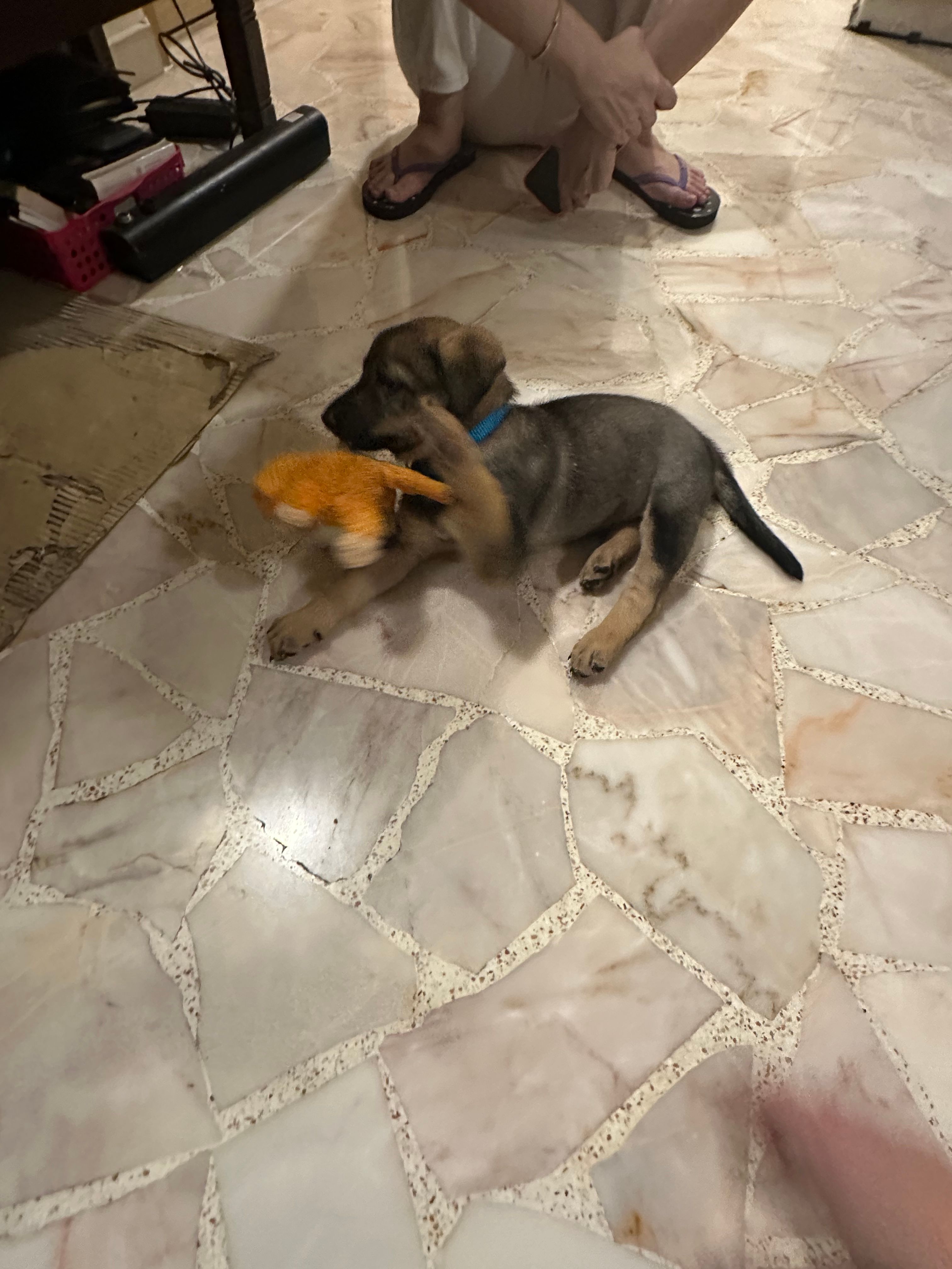 image-7