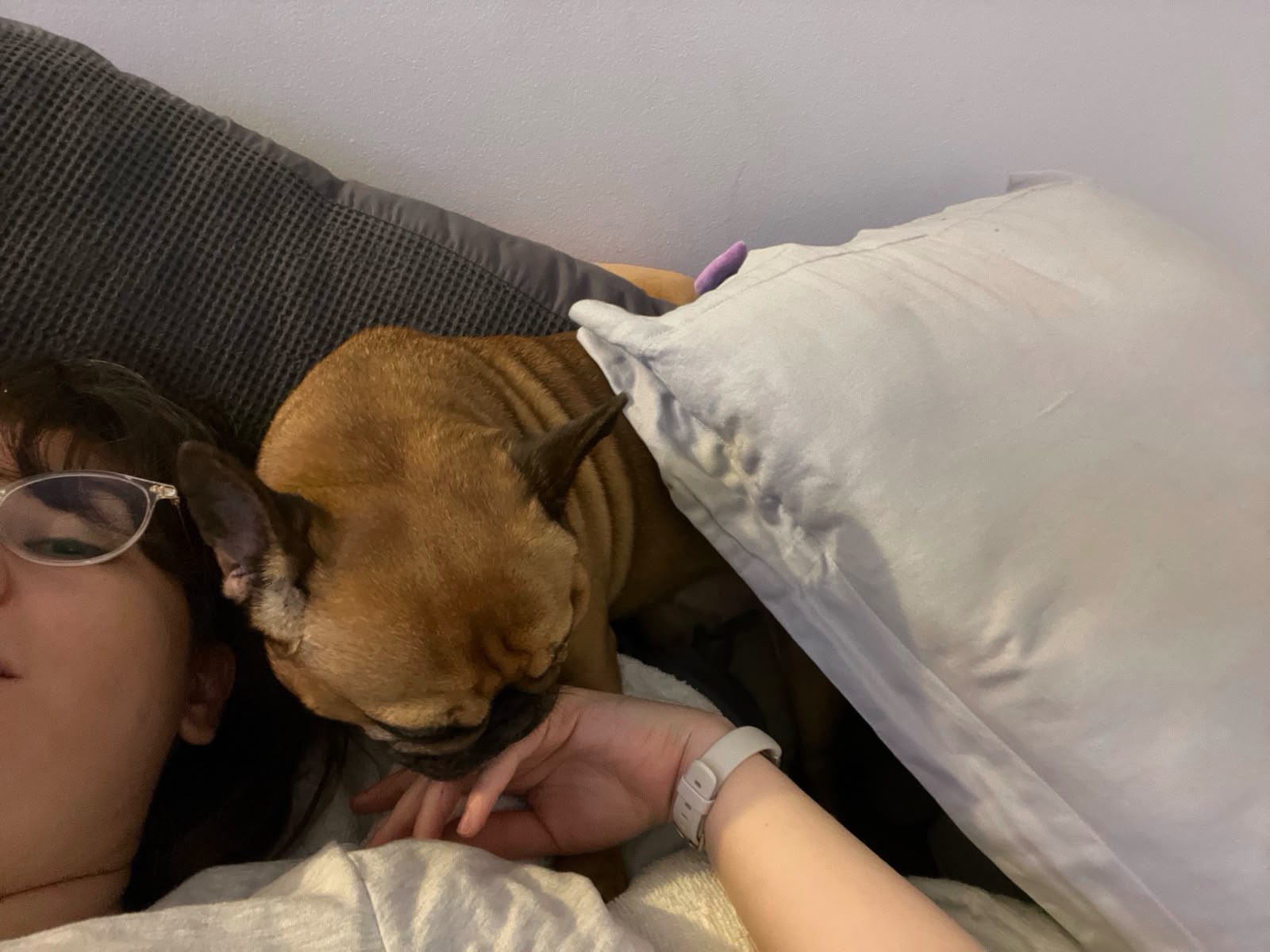 image-7