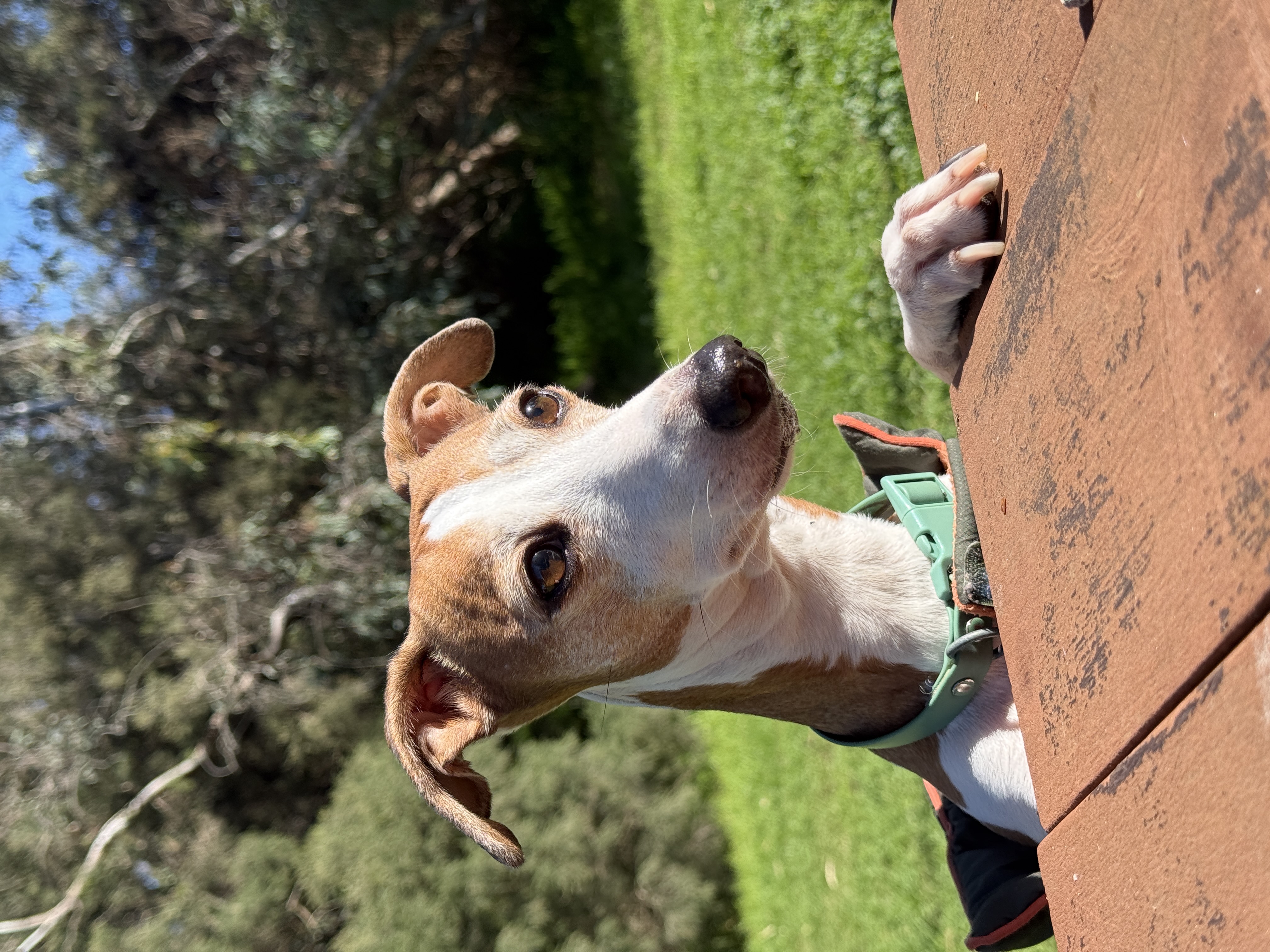 image-1