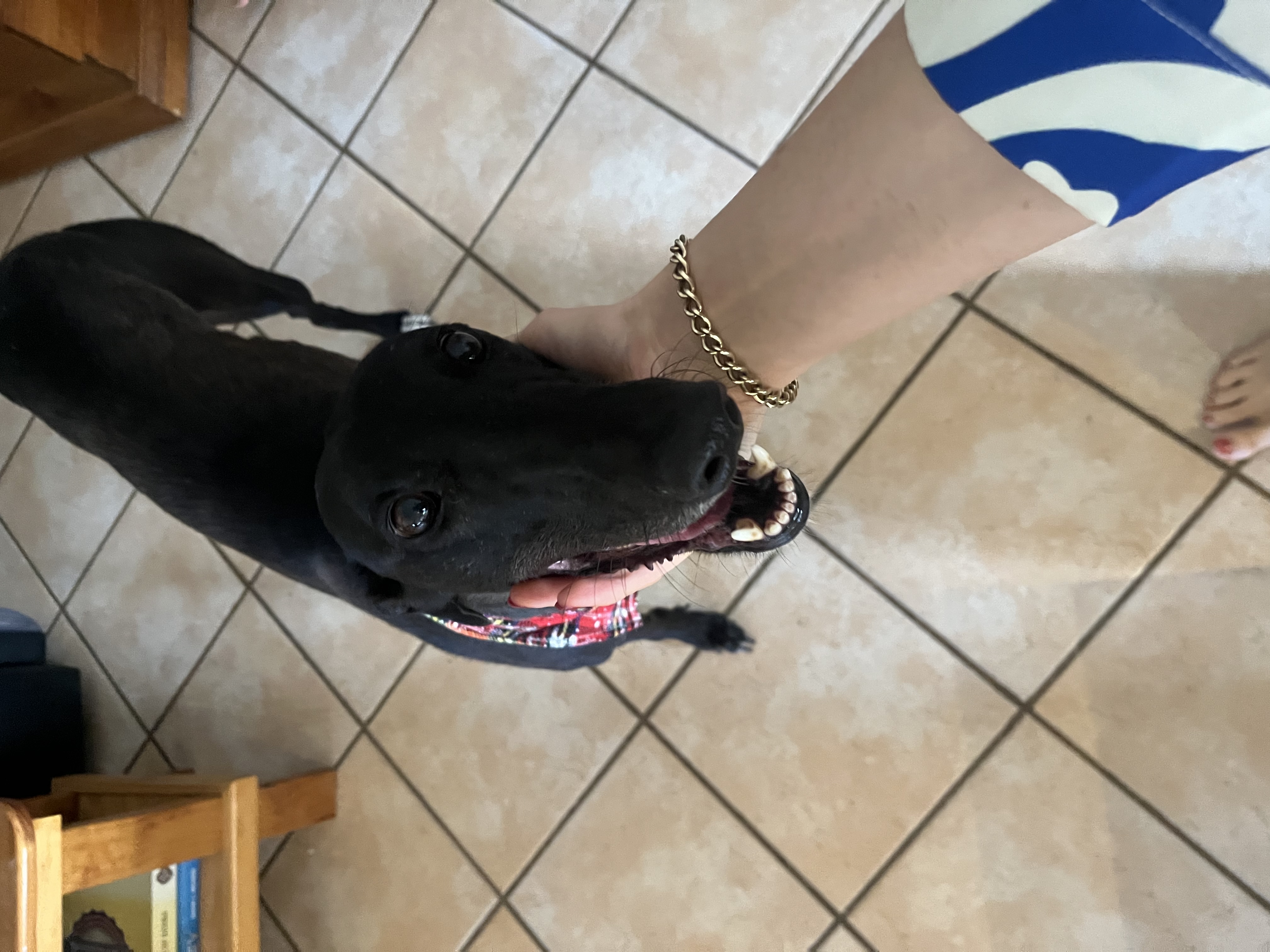 image-8
