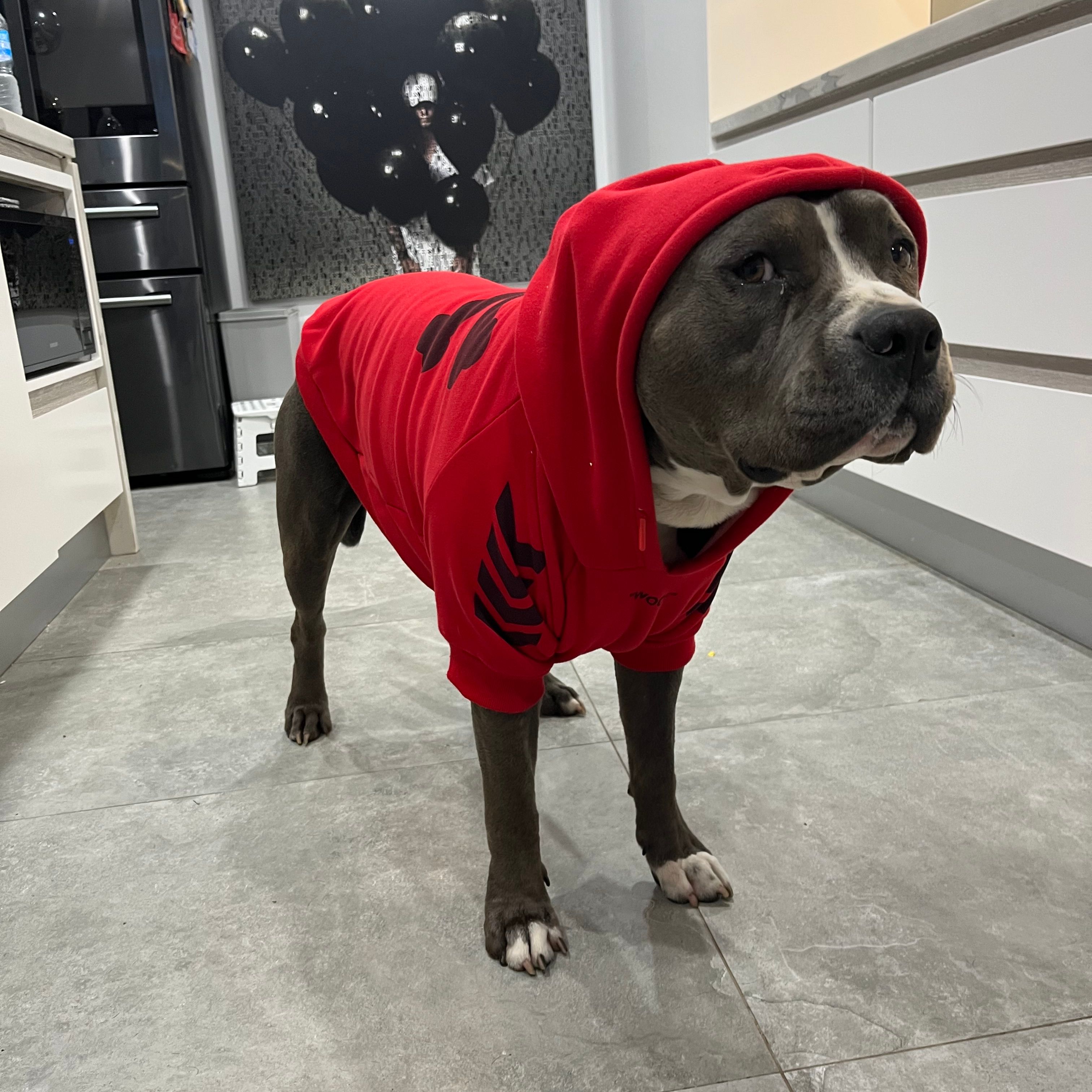 Migo