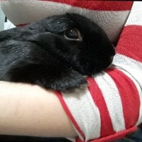 Sooty