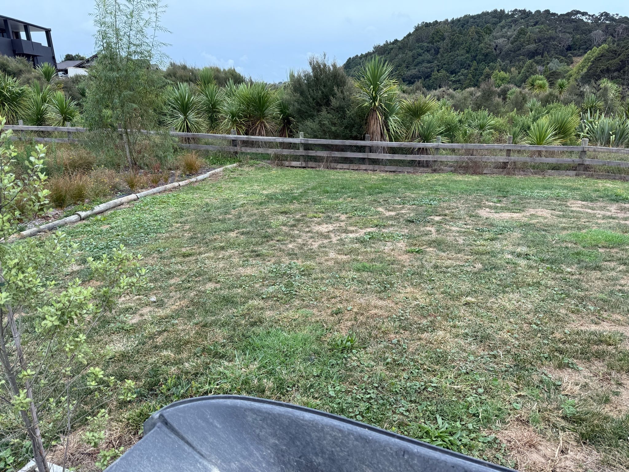 image-7