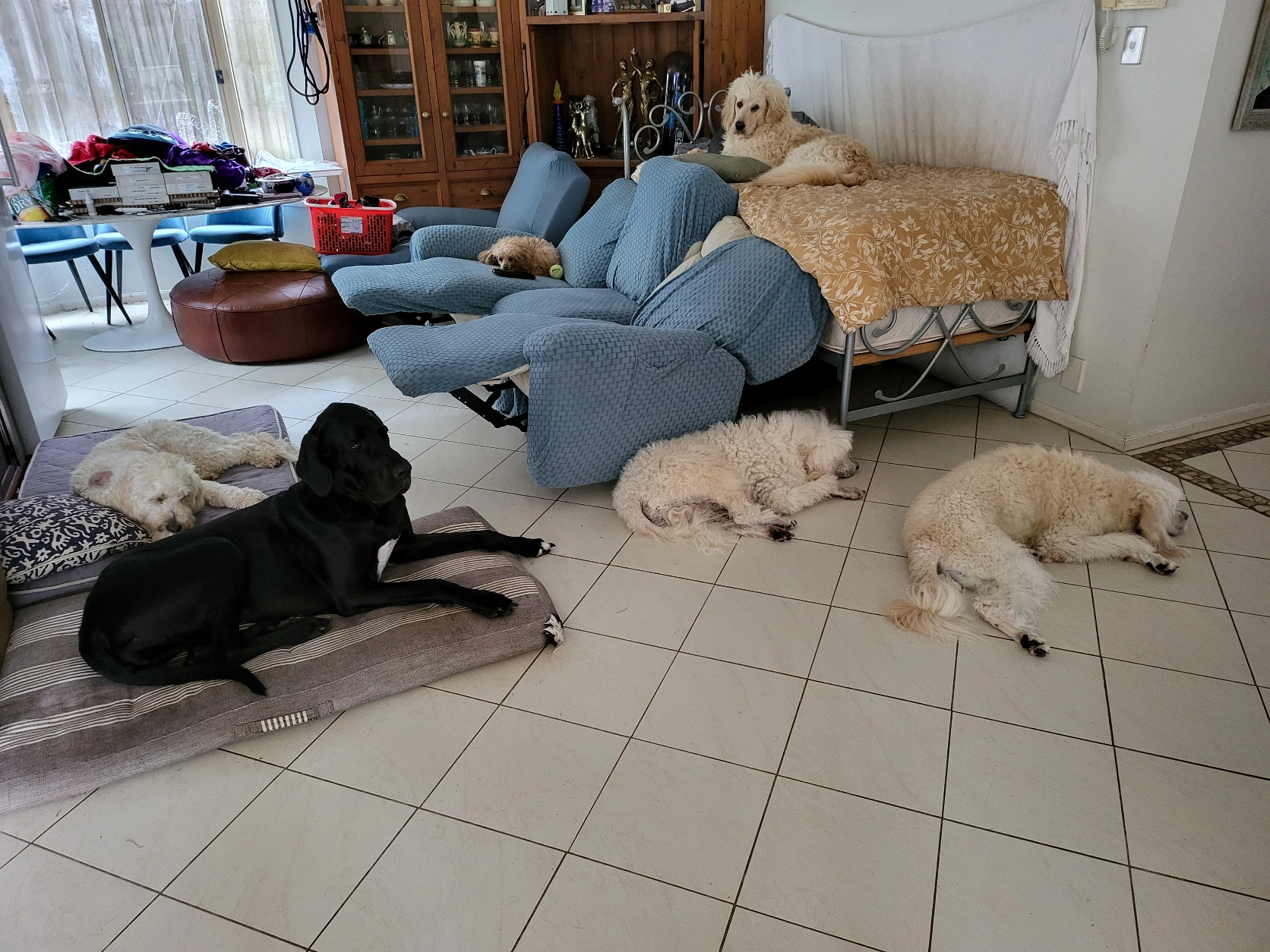 image-10