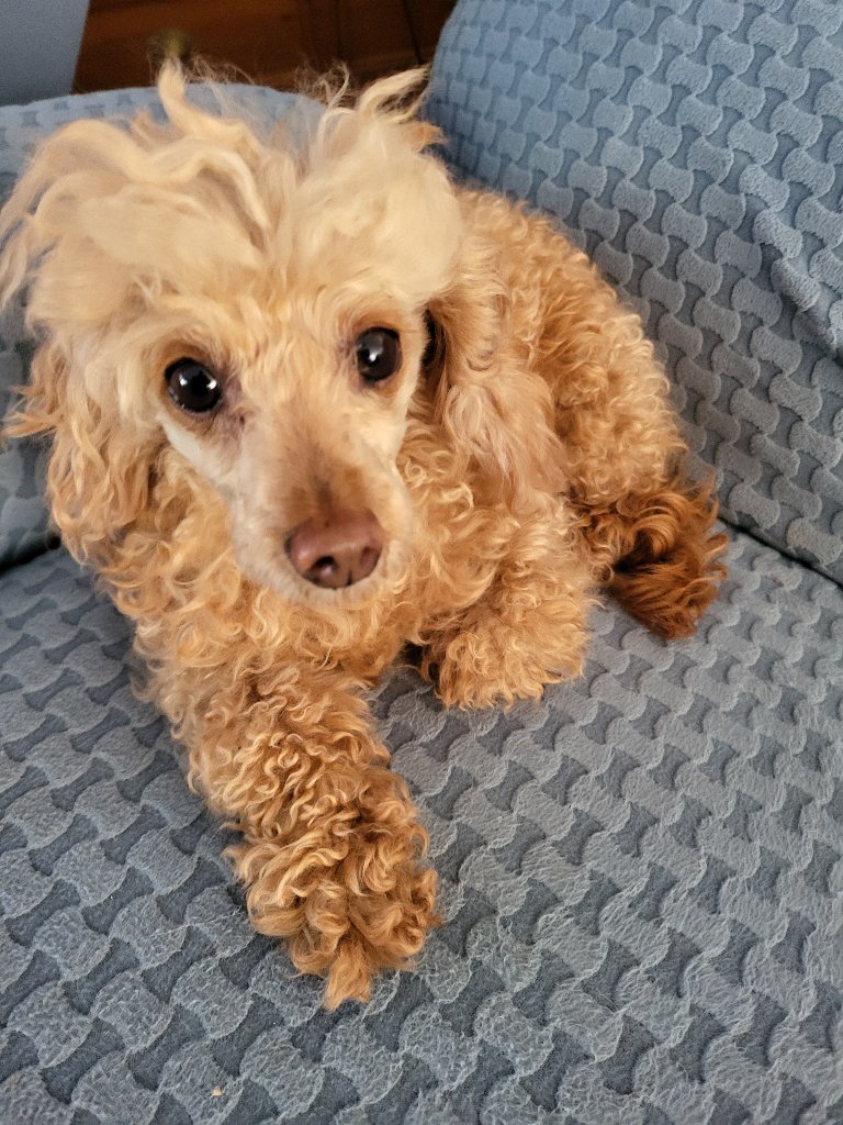 Zoey 