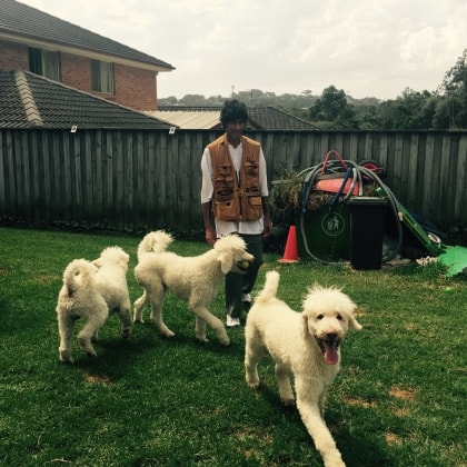image-0