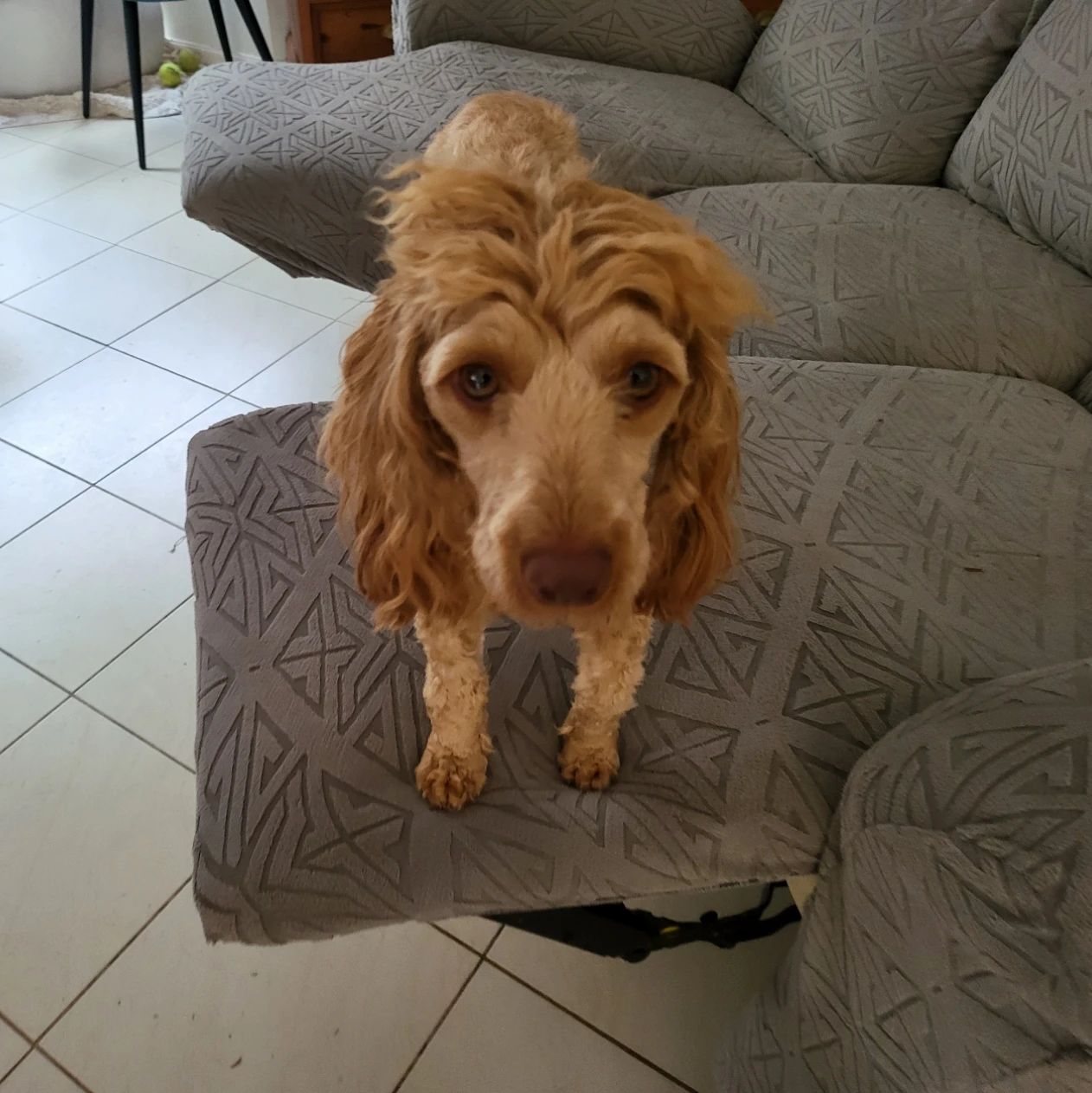 coco