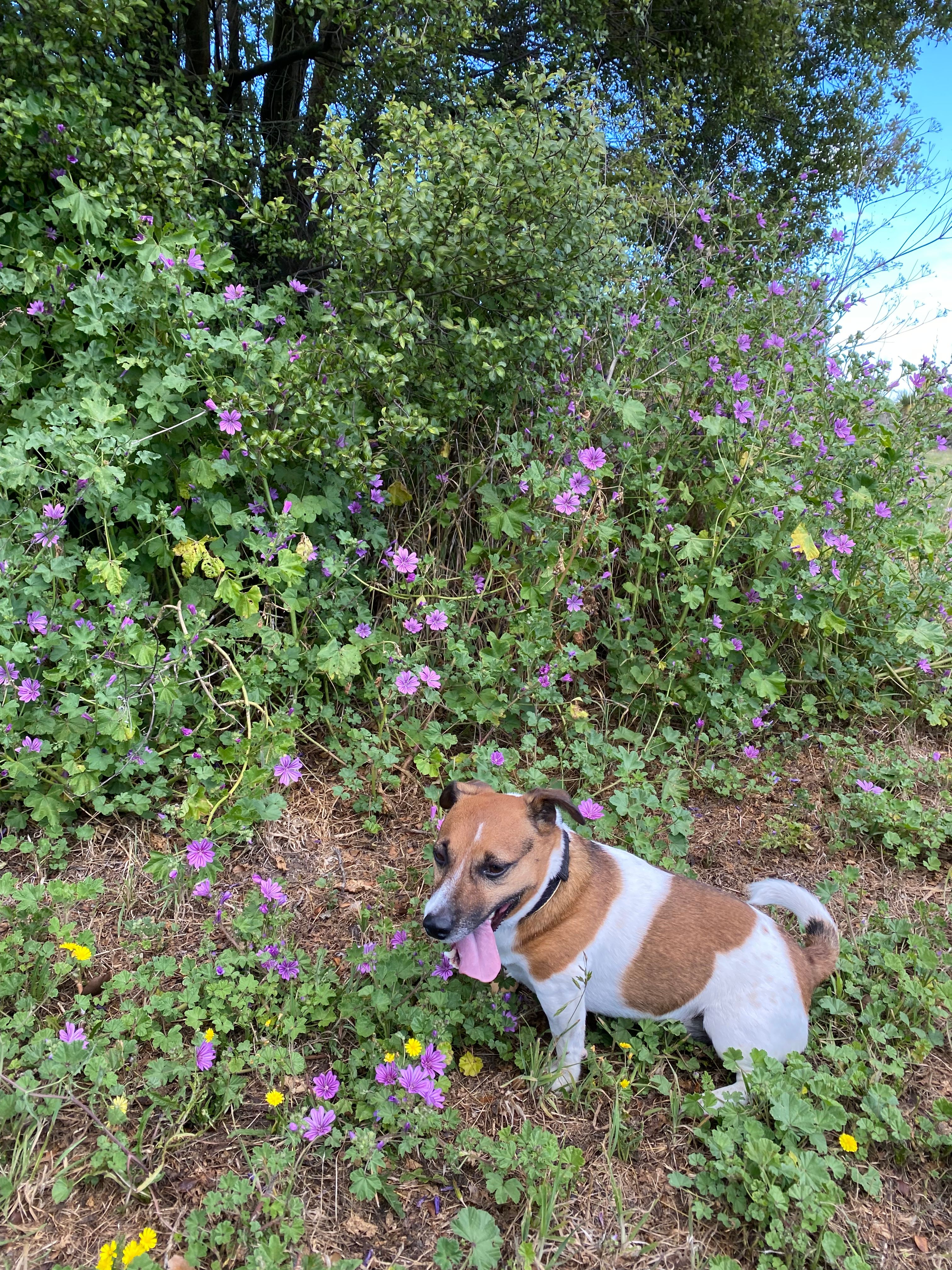 image-10